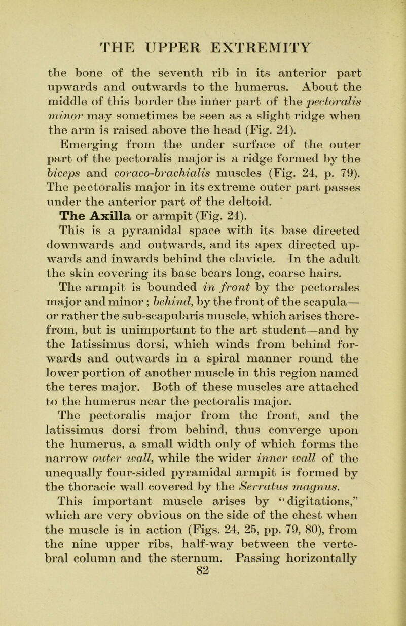 the bone of the seventh rib in its anterior part upwards and outwards to the humerus. About the middle of this border the inner part of the pectoralis minor may sometimes be seen as a slight ridge when the arm is raised above the head (Fig. 24). Emerging from the under surface of the outer part of the pectoralis major is a ridge formed by the biceps and coraco-brachialis muscles (Fig. 24, p. 79). The pectoralis major in its extreme outer part passes under the anterior part of the deltoid. The Axilla or armpit (Fig. 24). This is a pyramidal space with its base directed downwards and outwards, and its apex directed up- wards and inwards behind the clavicle. In the adult the skin covering its base bears long, coarse hairs. The armpit is bounded in front by the pectorales major and minor ; behind, by the front of the scapula— or rather the sub-scapularis muscle, which arises there- from, but is unimportant to the art student—and by the latissimus dorsi, which winds from behind for- wards and outwards in a spiral manner round the lower portion of another muscle in this region named the teres major. Both of these muscles are attached to the humerus near the pectoralis major. The pectoralis major from the front, and the latissimus dorsi from behind, thus converge upon the humerus, a small width only of which forms the narrow outer tvall, while the wider inner wall of the unequally four-sided pyramidal armpit is formed by the thoracic wall covered by the Serratus magnus. This important muscle arises by “ digitations,” which are very obvious on the side of the chest when the muscle is in action (Figs. 24, 25, pp. 79, 80), from the nine upper ribs, half-way between the verte- bral column and the sternum. Passing horizontally