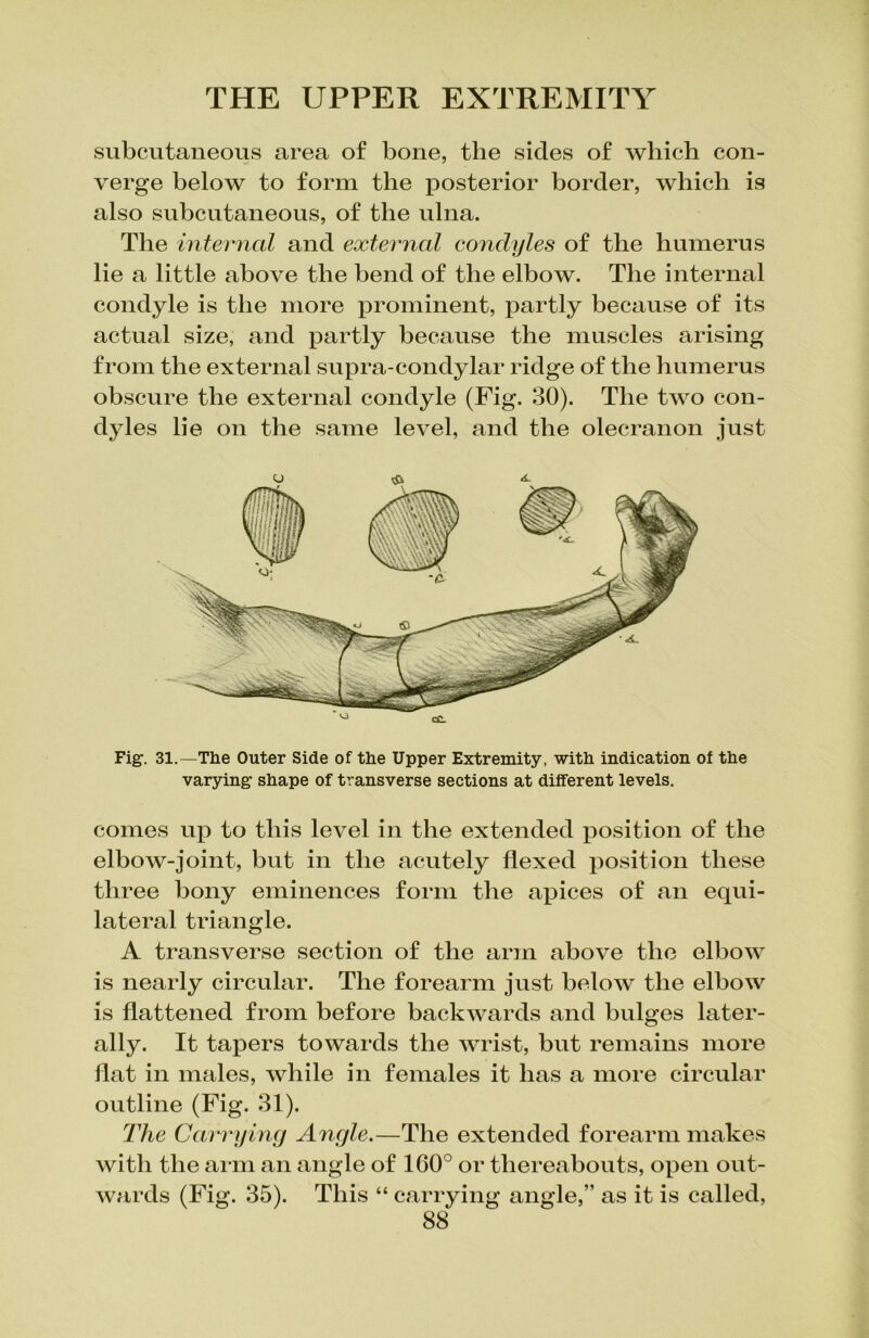 subcutaneous area of bone, the sides of which con- verge below to form the posterior border, which is also subcutaneous, of the ulna. The internal and external condyles of the humerus lie a little above the bend of the elbow. The internal condyle is the more prominent, partly because of its actual size, and partly because the muscles arising from the external supra-condylar ridge of the humerus obscure the external condyle (Fig. 30). The two con- dyles lie on the same level, and the olecranon just Fig1. 31.—The Outer Side of the Upper Extremity, with indication of the varying shape of transverse sections at different levels. comes up to this level in the extended position of the elbow-joint, but in the acutely flexed position these three bony eminences form the apices of an equi- lateral triangle. A transverse section of the arm above the elbow is nearly circular. The forearm just below the elbow is flattened from before backwards and bulges later- ally. It tapers towards the wrist, but remains more flat in males, while in females it has a more circular outline (Fig. 31). The Carrying Angle.—The extended forearm makes with the arm an angle of 160° or thereabouts, open out- wards (Fig. 35). This “ carrying angle,” as it is called,