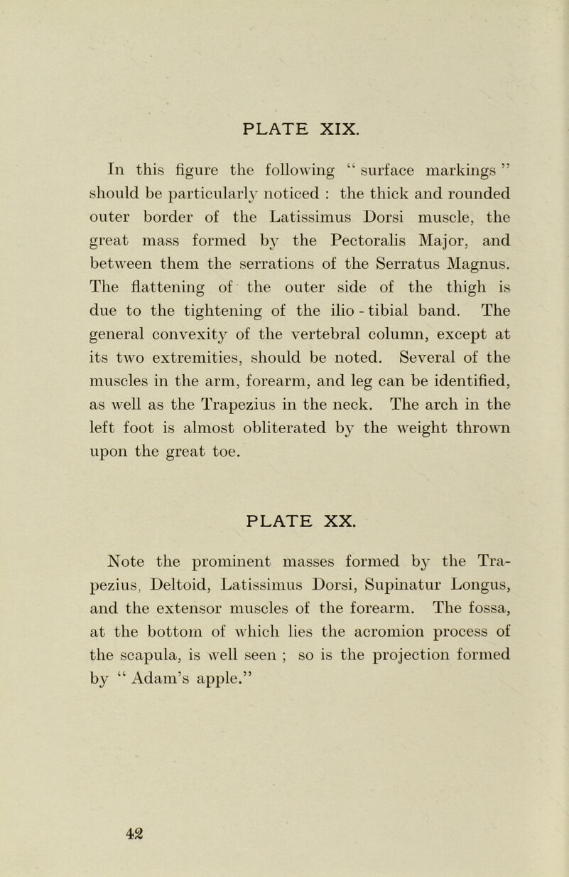 In this figure the following “ surface markings ” should be particularly noticed : the thick and rounded outer border of the Latissimus Dorsi muscle, the great mass formed by the Pectoralis Major, and between them the serrations of the Serratus Magnus. The flattening of the outer side of the thigh is due to the tightening of the ilio - tibial band. The general convexity of the vertebral column, except at its two extremities, should be noted. Several of the muscles in the arm, forearm, and leg can be identified, as well as the Trapezius in the neck. The arch in the left foot is almost obliterated by the weight thrown upon the great toe. PLATE XX. Note the prominent masses formed by the Tra- pezius, Deltoid, Latissimus Dorsi, Supinatur Longus, and the extensor muscles of the forearm. The fossa, at the bottom of which lies the acromion process of the scapula, is well seen ; so is the projection formed by “ Adam’s apple.”