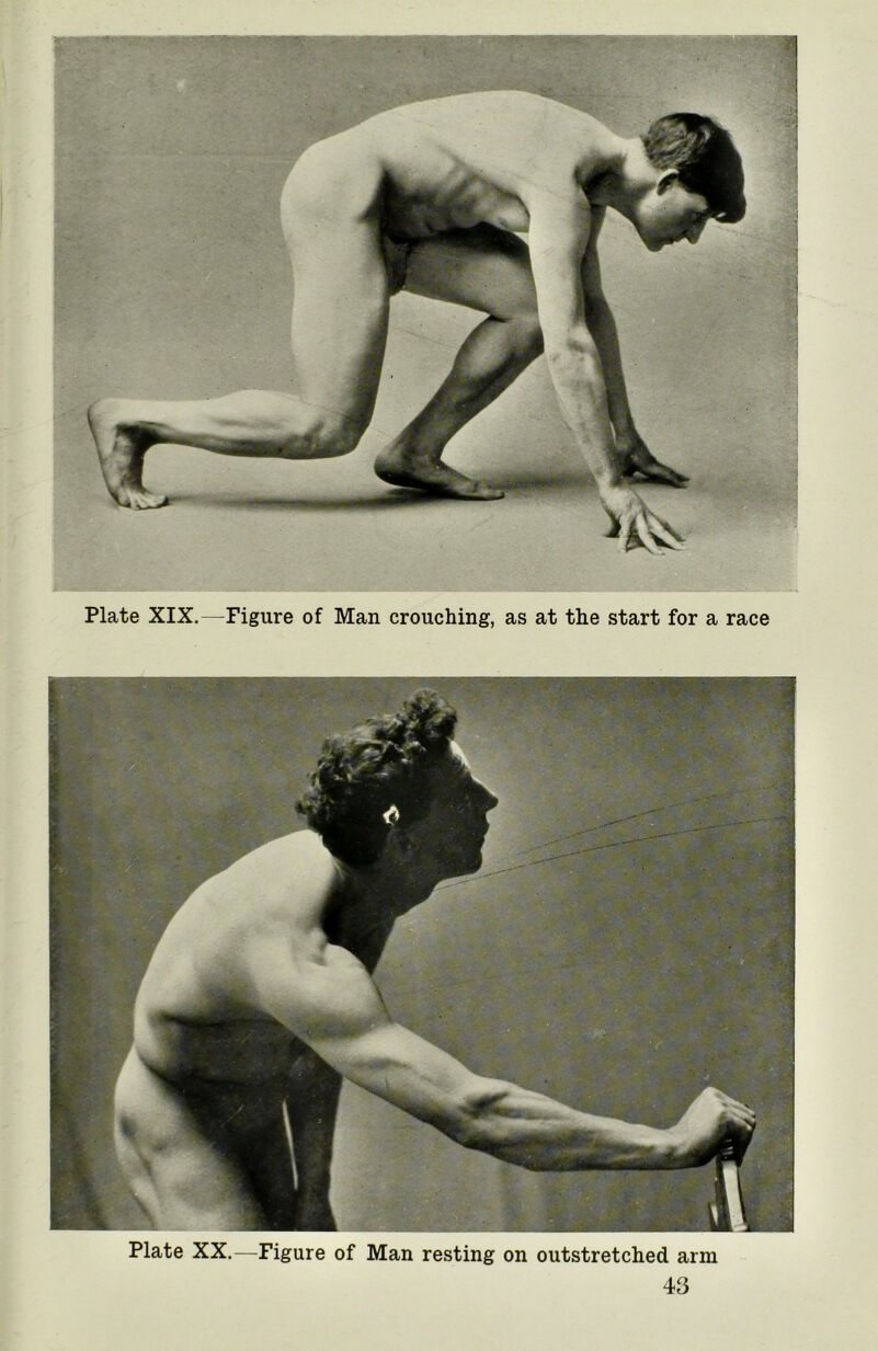 Plate XX.—Figure of Man resting on outstretched arm