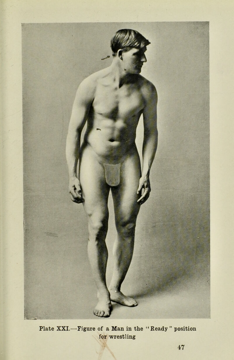 Plate XXI.—Figure of a Man in the “Ready ” position for wrestling