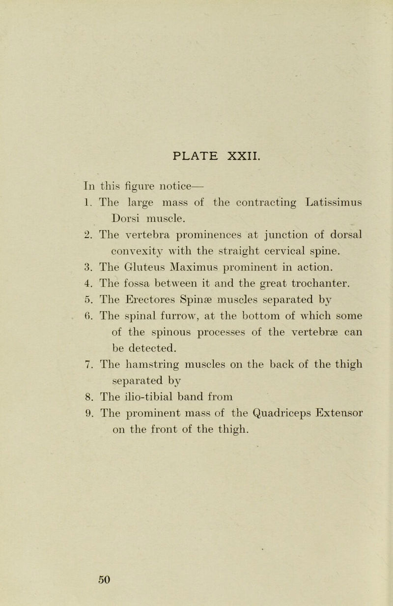 In this figure notice— 1. The large mass of the contracting Latissimus Dorsi muscle. 2. The vertebra prominences at junction of dorsal convexity with the straight cervical spine. 3. The Gluteus Maximus prominent in action. 4. The fossa between it and the great trochanter. 5. The Erectores Spinse muscles separated by 6. The spinal furrow, at the bottom of which some of the spinous processes of the vertebrae can be detected. 7. The hamstring muscles on the back of the thigh separated by 8. The ilio-tibial band from 9. The prominent mass of the Quadriceps Extensor on the front of the thigh.
