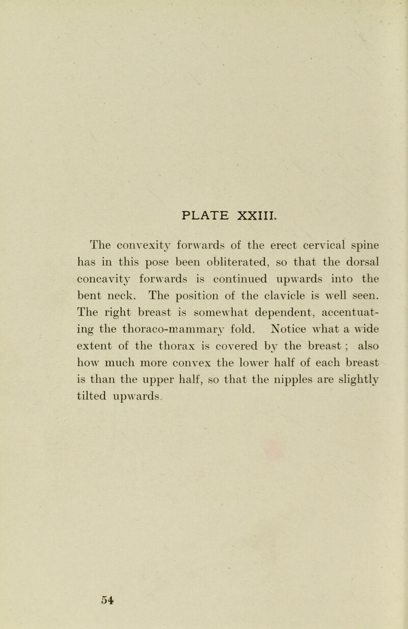 The convexity forwards of the erect cervical spine has in this pose been obliterated, so that the dorsal concavity forwards is continued upwards into the bent neck. The position of the clavicle is well seen. The right breast is somewhat dependent, accentuat- ing the thoraco-mammary fold. Notice what a wide extent of the thorax is covered by the breast ; also how much more convex the lower half of each breast is than the upper half, so that the nipples are slightly tilted upwards.