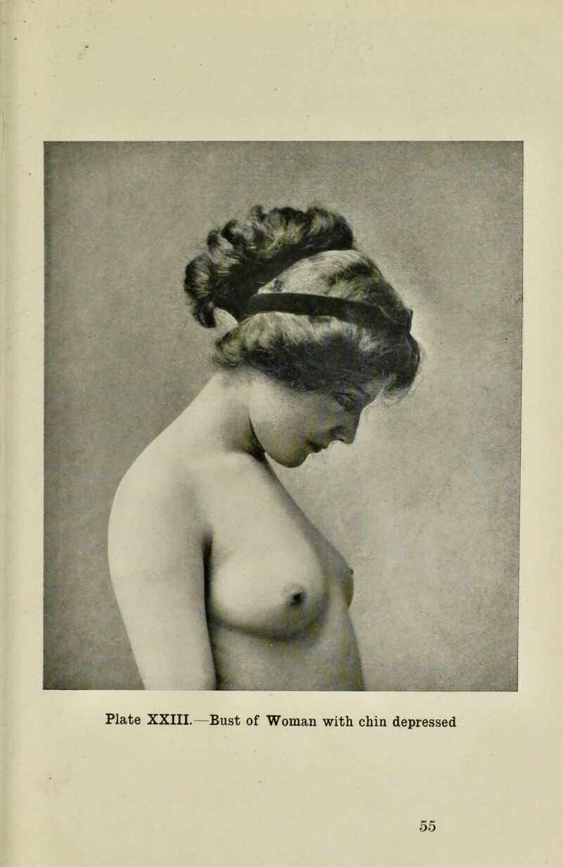 Plate XXIII.—Bust of Woman with chin depressed