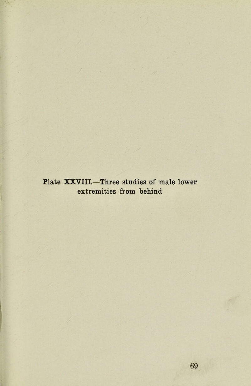 Plate XXVIII.—Three studies of male lower extremities from behind