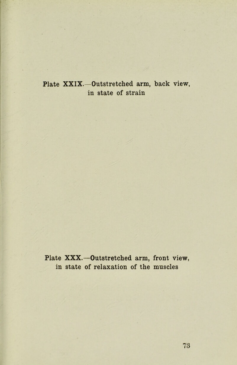 Plate XXIX.—Outstretched arm, back view, in state of strain Plate XXX.—Outstretched arm, front view, in state of relaxation of the muscles