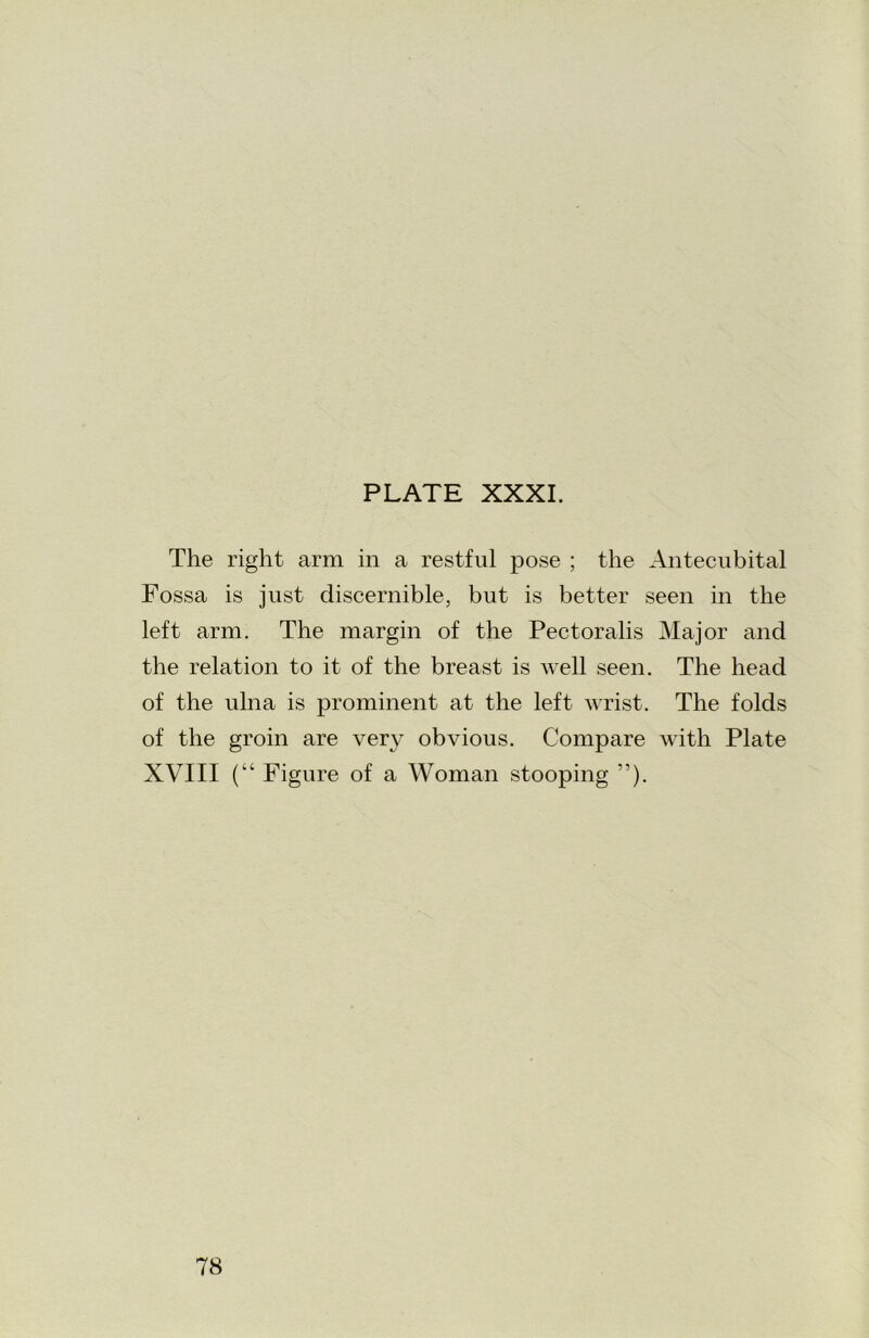 PLATE XXXI. The right arm in a restful pose ; the Antecubital Fossa is just discernible, but is better seen in the left arm. The margin of the Pectoralis Major and the relation to it of the breast is well seen. The head of the ulna is prominent at the left wrist. The folds of the groin are very obvious. Compare with Plate XVIII (“ Figure of a Woman stooping ”).