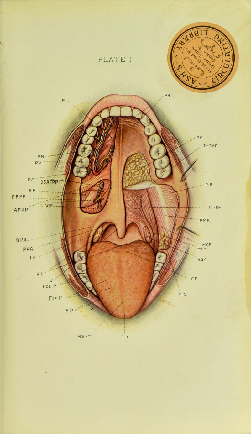 PLATE I DSAFiSP MPP MSo'T TT