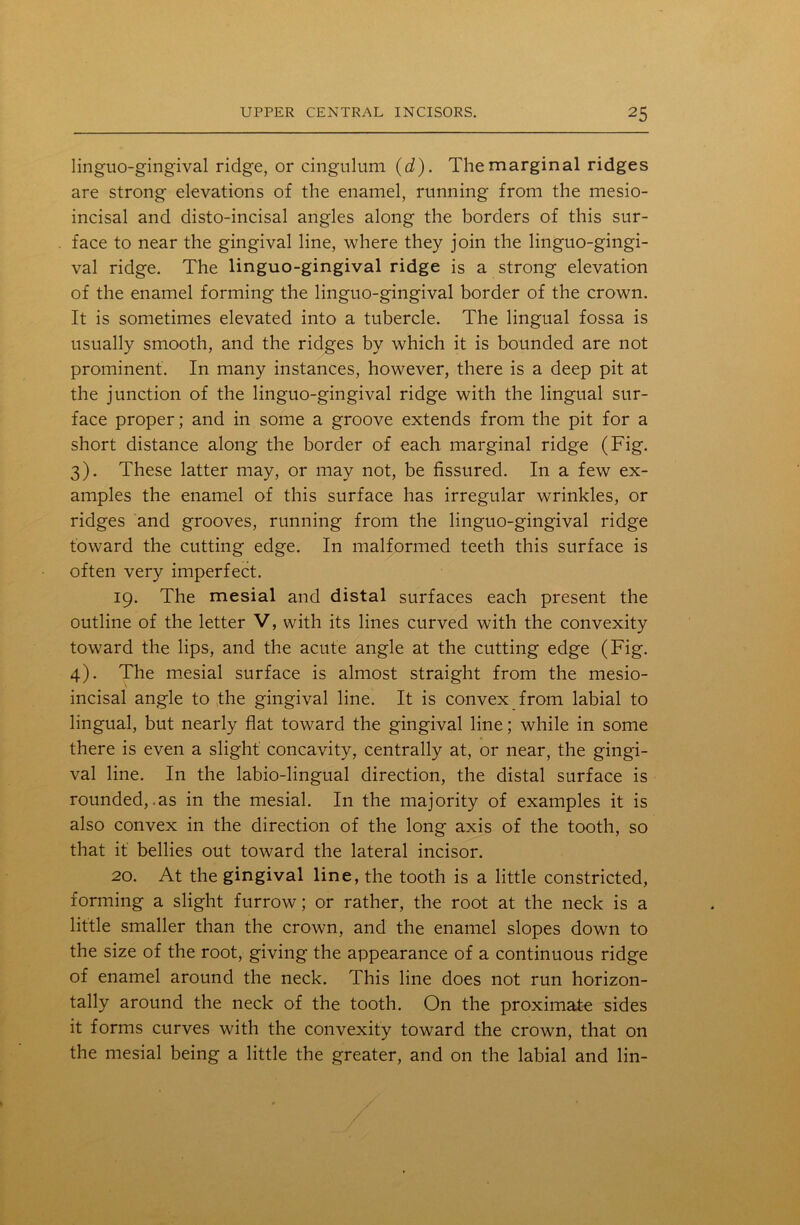 linguo-gingival ridge, or cingulum (d). The marginal ridges are strong elevations of the enamel, running from the mesio- incisal and disto-incisal angles along the borders of this sur- face to near the gingival line, where they join the linguo-gingi- val ridge. The linguo-gingival ridge is a strong elevation of the enamel forming the linguo-gingival border of the crown. It is sometimes elevated into a tubercle. The lingual fossa is usually smooth, and the ridges by which it is bounded are not prominent. In many instances, however, there is a deep pit at the junction of the linguo-gingival ridge with the lingual sur- face proper; and in some a groove extends from the pit for a short distance along the border of each marginal ridge (Fig. 3) . These latter may, or may not, be fissured. In a few ex- amples the enamel of this surface has irregular wrinkles, or ridges and grooves, running from the linguo-gingival ridge toward the cutting edge. In malformed teeth this surface is often very imperfect. 19. The mesial and distal surfaces each present the outline of the letter V, with its lines curved with the convexity toward the lips, and the acute angle at the cutting edge (Fig. 4) . The mesial surface is almost straight from the mesio- incisal angle to the gingival line. It is convex from labial to lingual, but nearly flat toward the gingival line; while in some there is even a slight concavity, centrally at, or near, the gingi- val line. In the labio-lingual direction, the distal surface is rounded, .as in the mesial. In the majority of examples it is also convex in the direction of the long axis of the tooth, so that it' bellies out toward the lateral incisor. 20. At the gingival line, the tooth is a little constricted, forming a slight furrow; or rather, the root at the neck is a little smaller than the crown, and the enamel slopes down to the size of the root, giving the appearance of a continuous ridge of enamel around the neck. This line does not run horizon- tally around the neck of the tooth. On the proximate sides it forms curves with the convexity toward the crown, that on the mesial being a little the greater, and on the labial and lin-