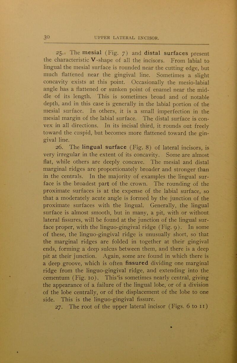 25. The mesial (Fig. 7) and distal surfaces present the characteristic V-shape of all the incisors. From labial to lingual the mesial surface is rounded near the cutting edge, but much flattened near the gingival line. Sometimes a slight concavity exists at this point. Occasionally the mesio-labial angle has a flattened or sunken point of enamel near the mid- dle of its length. This is sometimes broad and of notable depth, and in this case is generally in the labial portion of the mesial surface. In others, it is a small imperfection in the mesial margin of the labial surface. The distal surface is con- vex in all directions. In its incisal third, it rounds out freely toward the cuspid, but becomes more flattened toward the gin- gival line. 26. The lingual surface (Fig. 8) of lateral incisors, is very irregular in the extent of its concavity. Some are almost flat, while others are deeply concave. The mesial and distal marginal ridges are proportionately broader and stronger than in the centrals. In the majority of examples the lingual sur- face is the broadest part of the crown. The rounding of the proximate surfaces is at the expense of the labial surface, so that a moderately acute angle is formed by the junction of the proximate surfaces with the lingual. Generally, the lingual surface is almost smooth, but in many, a pit, with or without lateral fissures, will be found at the junction of the lingual sur- face proper, with the linguo-gingival ridge (Fig. 9). I11 some of these, the linguo-gingival ridge is unusually short, so that the marginal ridges are folded in together at their gingival ends, forming a deep sulcus between them, and there is a deep pit at their junction. Again, some are found in which there is a deep groove, which is often fissured dividing one marginal ridge from the linguo-gingival ridge, and extending into the cementum (Fig. 10). This’is sometimes nearly central, giving the appearance of a failure of the lingual lobe, or of a division of the lobe centrally, or of the displacement of the lobe to one side. This is the linguo-gingival fissure. 27. The root of the upper lateral incisor (Figs. 6 to 11)