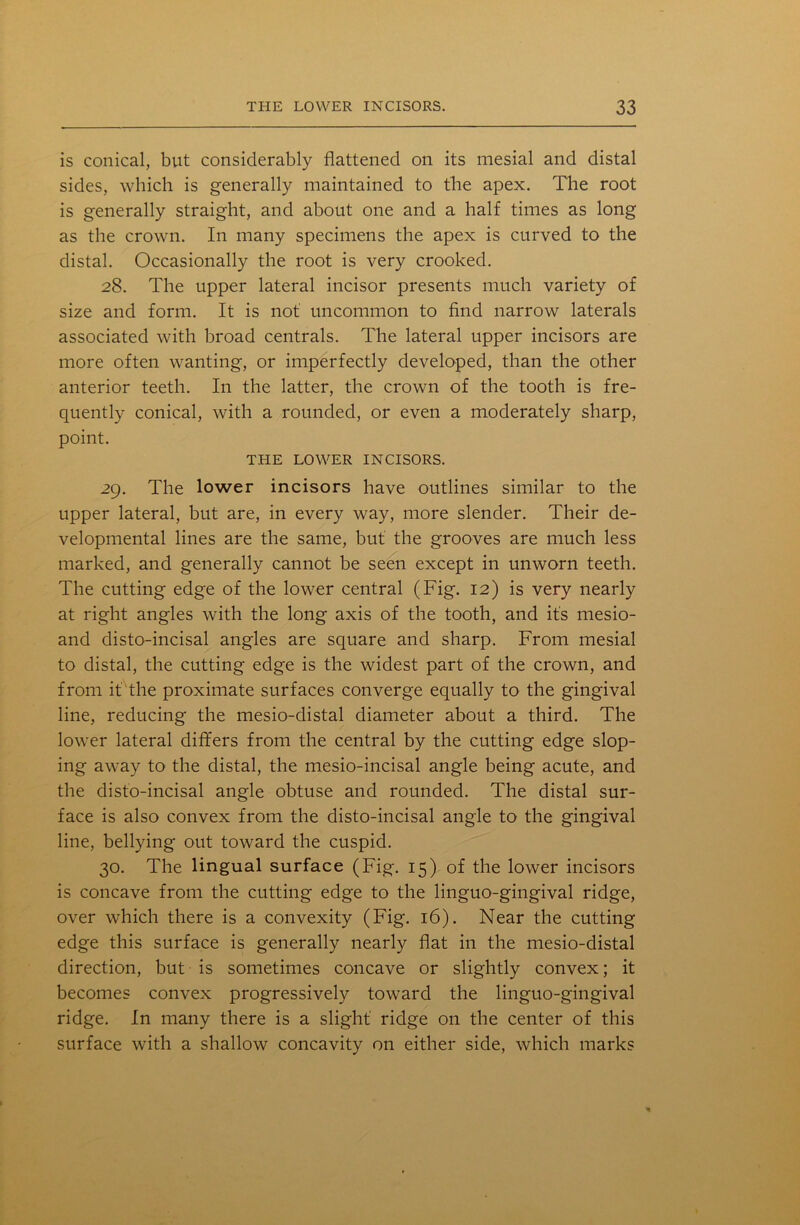 is conical, but considerably flattened on its mesial and distal sides, which is generally maintained to the apex. The root is generally straight, and about one and a half times as long as the crown. In many specimens the apex is curved to the distal. Occasionally the root is very crooked. 28. The upper lateral incisor presents much variety of size and form. It is not uncommon to find narrow laterals associated with broad centrals. The lateral upper incisors are more often wanting, or imperfectly developed, than the other anterior teeth. In the latter, the crown of the tooth is fre- quently conical, with a rounded, or even a moderately sharp, point. THE LOWER INCISORS. 29. The lower incisors have outlines similar to the upper lateral, but are, in every way, more slender. Their de- velopmental lines are the same, but the grooves are much less marked, and generally cannot be seen except in unworn teeth. The cutting edge of the lower central (Fig. 12) is very nearly at right angles with the long axis of the tooth, and it's mesio- and disto-incisal angles are square and sharp. From mesial to distal, the cutting edge is the widest part of the crown, and from it the proximate surfaces converge equally to the gingival line, reducing the mesio-distal diameter about a third. The lower lateral differs from the central by the cutting edge slop- ing away to the distal, the mesio-incisal angle being acute, and the disto-incisal angle obtuse and rounded. The distal sur- face is also convex from the disto-incisal angle to the gingival line, bellying out toward the cuspid. 30. The lingual surface (Fig. 15) of the lower incisors is concave from the cutting edge to the linguo-gingival ridge, over which there is a convexity (Fig. 16). Near the cutting edge this surface is generally nearly flat in the mesio-distal direction, but is sometimes concave or slightly convex; it becomes convex progressively toward the linguo-gingival ridge. In many there is a slight' ridge on the center of this surface with a shallow concavity on either side, which marks