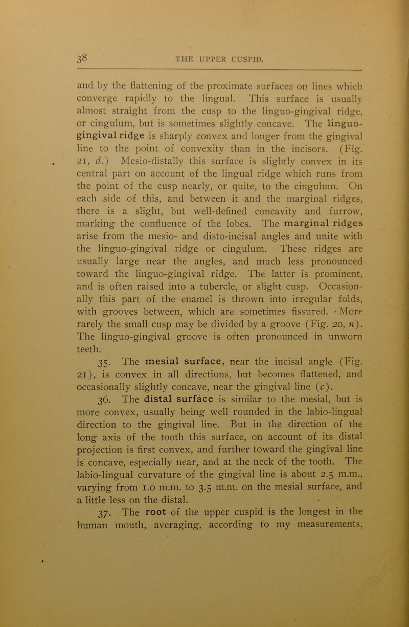 and by the flattening of the proximate surfaces on lines which converge rapidly to the lingual. This surface is usually almost straight from the cusp to the linguo-gingival ridge, or cingulum, but is sometimes slightly concave. The linguo- gingival ridge is sharply convex and longer from the gingival line to the point of convexity than in the incisors. (Fig. 21, d.) Mesio-distally this surface is slightly convex in its central part on account of the lingual ridge which runs from the point of the cusp nearly, or quite, to the cingulum. On each side of this, and between it and the marginal ridges, there is a slight, but well-defined concavity and furrow, marking the confluence of the lobes. The marginal ridges arise from the mesio- and disto-incisal angles and unite with the linguo-gingival ridge or cingulum. These ridges are usually large near the angles, and much less pronounced toward the linguo-gingival ridge. The latter is prominent, and is often raised into a tubercle, or slight cusp. Occasion- ally this part of the enamel is thrown into irregular folds, with grooves between, which are sometimes fissured. • More rarely the small cusp may be divided by a groove (Fig. 20, 11). The linguo-gingival groove is often pronounced in unworn teeth. 35. The mesial surface, near the incisal angle (Fig. 21), is convex in all directions, but becomes flattened, and occasionally slightly concave, near the gingival line (c). 36. The distal surface is similar to the mesial, but is more convex, usually being well rounded in the labio-lingua! direction to the gingival line. But in the direction of the long axis of the tooth this surface, on account of its distal projection is first convex, and further toward the gingival line is’ concave, especially near, and at the neck of the tooth. The labio-lingual curvature of the gingival line is about 2.5 m.m., varying from 1.0 m.m. to 3.5 m.m. on the mesial surface, and a little less on the distal. 37. The root of the upper cuspid is the longest in the human mouth, averaging, according to my measurements.