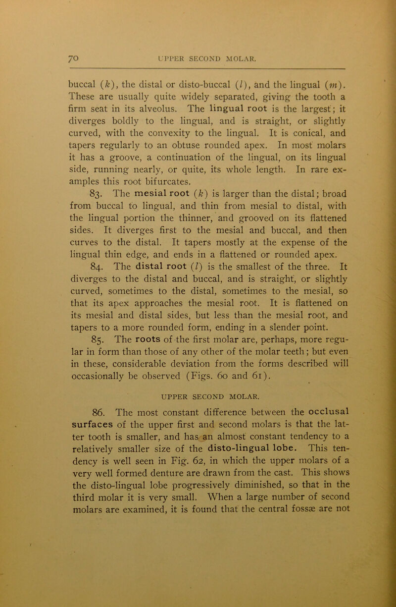 buccal (k), the distal or disto-buccal (/), and the lingual (m). These are usually quite widely separated, giving the tooth a firm seat in its alveolus. The lingual root is the largest ; it diverges boldly to the lingual, and is straight, or slightly curved, with the convexity to the lingual. It is conical, and tapers regularly to an obtuse rounded apex. In most molars it has a groove, a continuation of the lingual, on its lingual side, running nearly, or quite, its whole length. In rare ex- amples this root bifurcates. 83. The mesial root (£) is larger than the distal; broad from buccal to lingual, and thin from mesial to distal, with the lingual portion the thinner, and grooved on its flattened sides. It diverges first to the mesial and buccal, and then curves to the distal. It tapers mostly at the expense of the lingual thin edge, and ends in a flattened or rounded apex. 84. The distal root (/) is the smallest of the three. It diverges to the distal and buccal, and is straight', or slightly curved, sometimes to the distal, sometimes to the mesial, so that its apex approaches the mesial root. It is flattened on its mesial and distal sides, but less than the mesial root, and tapers to a more rounded form, ending in a slender point. 85. The roots of the first molar are, perhaps, more regu- lar in form than those of any other of the molar teeth; but even in these, considerable deviation from the forms described will occasionally be observed (Figs. 60 and 61). UPPER SECOND MOLAR. 86. The most constant difference between the occlusal surfaces of the upper first and second molars is that the lat- ter tooth is smaller, and has an almost constant tendency to a relatively smaller size of the disto-lingual lobe. This ten- dency is well seen in Fig. 62, in which the upper molars of a very well formed denture are drawn from the cast. This shows the disto-lingual lobe progressively diminished, so that in the third molar it is very small. When a large number of second molars are examined, it is found that the central fossae are not