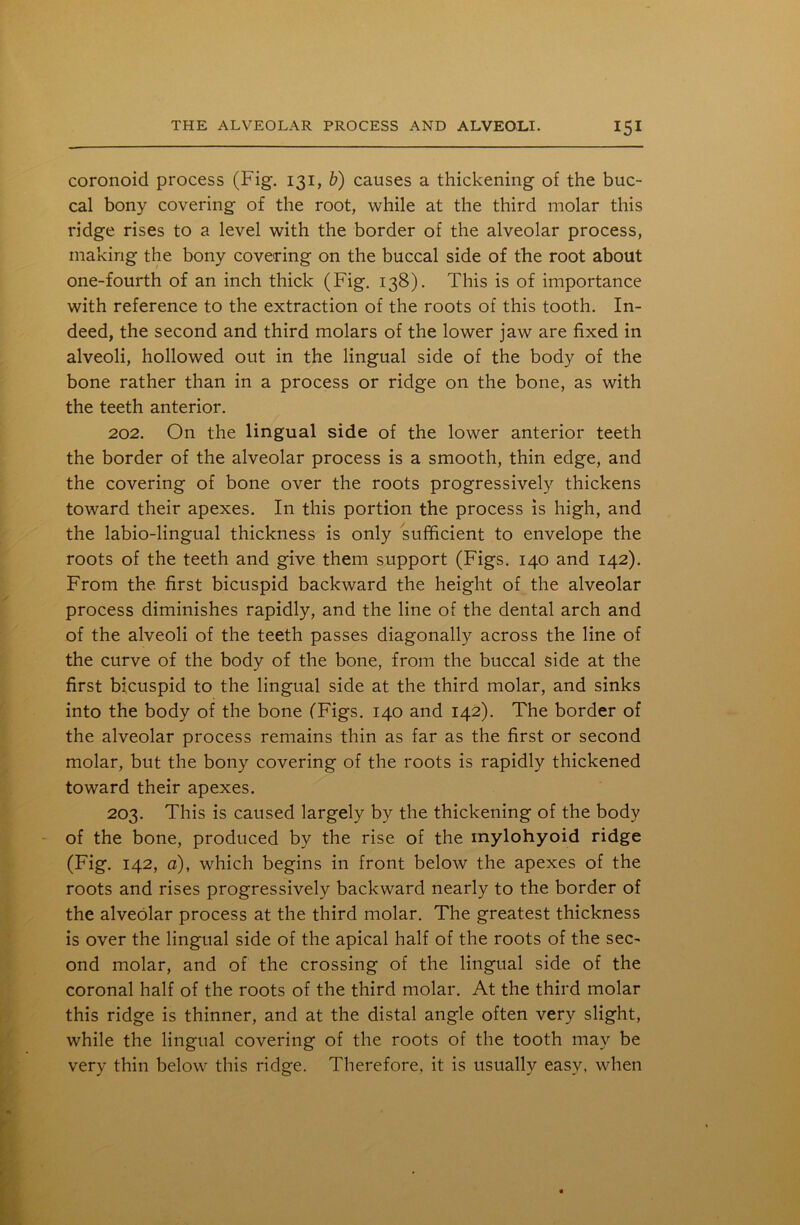 coronoid process (Fig. 131, b) causes a thickening of the buc- cal bony covering of the root, while at the third molar this ridge rises to a level with the border of the alveolar process, making the bony covering on the buccal side of the root about one-fourth of an inch thick (Fig. 138). This is of importance with reference to the extraction of the roots of this tooth. In- deed, the second and third molars of the lower jaw are fixed in alveoli, hollowed out in the lingual side of the body of the bone rather than in a process or ridge on the bone, as with the teeth anterior. 202. On the lingual side of the lower anterior teeth the border of the alveolar process is a smooth, thin edge, and the covering of bone over the roots progressively thickens toward their apexes. In this portion the process is high, and the labio-lingual thickness is only sufficient to envelope the roots of the teeth and give them support (Figs. 140 and 142). From the first bicuspid backward the height of the alveolar process diminishes rapidly, and the line of the dental arch and of the alveoli of the teeth passes diagonally across the line of the curve of the body of the bone, from the buccal side at the first bicuspid to the lingual side at the third molar, and sinks into the body of the bone (Figs. 140 and 142). The border of the alveolar process remains thin as far as the first or second molar, but the bony covering of the roots is rapidly thickened toward their apexes. 203. This is caused largely by the thickening of the body of the bone, produced by the rise of the mylohyoid ridge (Fig. 142, a), which begins in front below the apexes of the roots and rises progressively backward nearly to the border of the alveolar process at the third molar. The greatest thickness is over the lingual side of the apical half of the roots of the sec- ond molar, and of the crossing of the lingual side of the coronal half of the roots of the third molar. At the third molar this ridge is thinner, and at the distal angle often very slight, while the lingual covering of the roots of the tooth may be very thin below this ridge. Therefore, it is usually easy, when