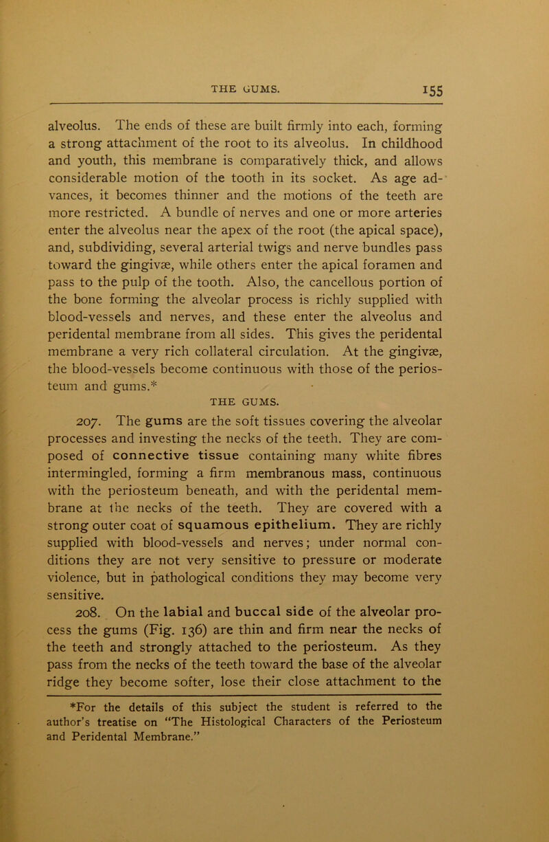 alveolus. The ends of these are built firmly into each, forming a strong attachment of the root to its alveolus. In childhood and youth, this membrane is comparatively thick, and allows considerable motion of the tooth in its socket. As age ad- vances, it becomes thinner and the motions of the teeth are more restricted. A bundle of nerves and one or more arteries enter the alveolus near the apex of the root (the apical space), and, subdividing, several arterial twigs and nerve bundles pass toward the gingivae, while others enter the apical foramen and pass to the pulp of the tooth. Also, the cancellous portion of the bone forming the alveolar process is richly supplied with blood-vessels and nerves, and these enter the alveolus and peridental membrane from all sides. This gives the peridental membrane a very rich collateral circulation. At the gingivae, the blood-vessels become continuous with those of the perios- teum and gums.* THE GUMS. 207. The gums are the soft tissues covering the alveolar processes and investing the necks of the teeth. They are com- posed of connective tissue containing many white fibres intermingled, forming a firm membranous mass, continuous with the periosteum beneath, and with the peridental mem- brane at Ihe necks of the teeth. They are covered with a strong outer coat of squamous epithelium. They are richly supplied with blood-vessels and nerves; under normal con- ditions they are not very sensitive to pressure or moderate violence, but in pathological conditions they may become very sensitive. 208. On the labial and buccal side of the alveolar pro- cess the gums (Fig. 136) are thin and firm near the necks of the teeth and strongly attached to the periosteum. As they pass from the necks of the teeth toward the base of the alveolar ridge they become softer, lose their close attachment to the *For the details of this subject the student is referred to the author’s treatise on “The Histological Characters of the Periosteum and Peridental Membrane.”