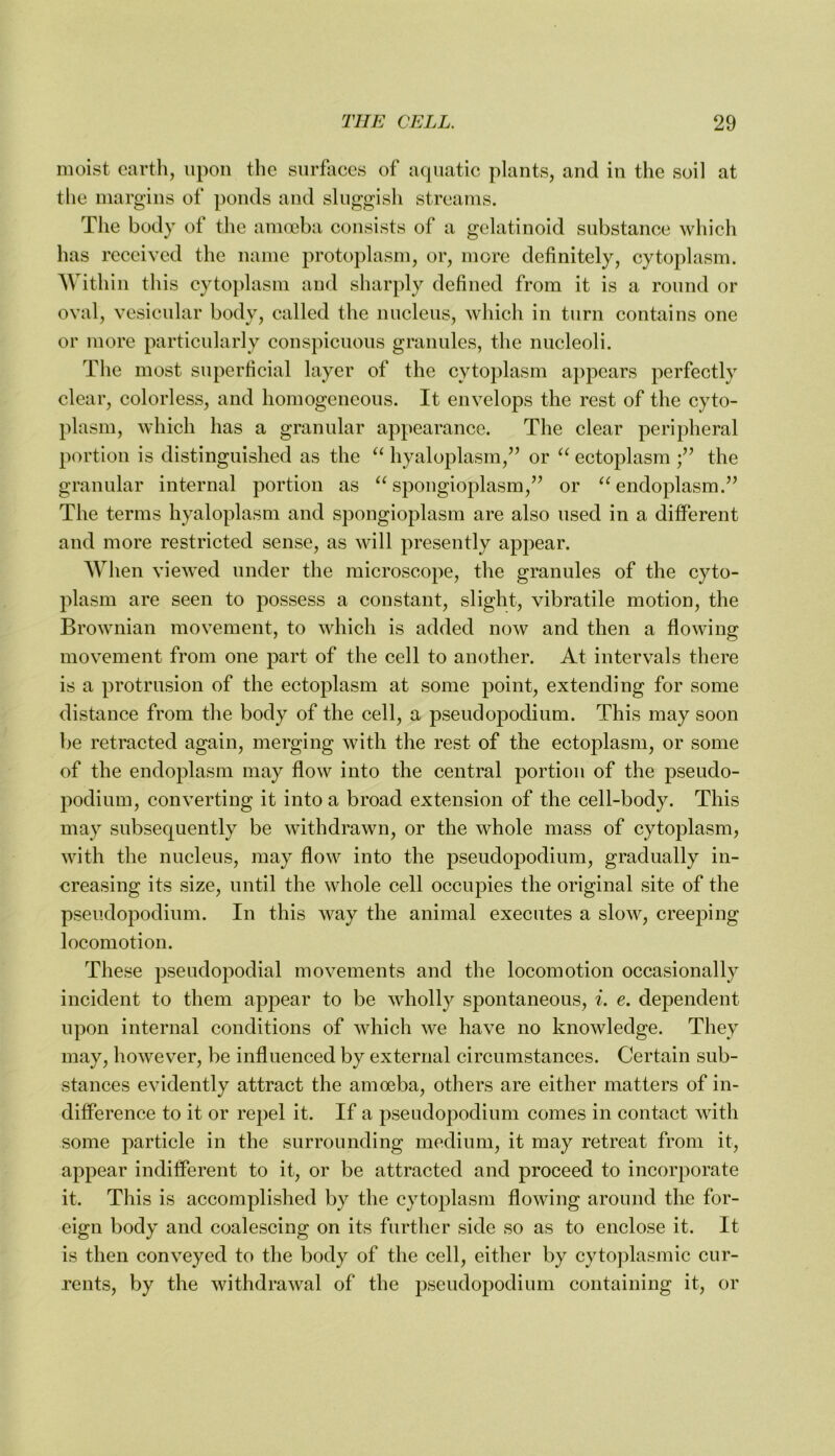 moist earth, upon the surfaces of acpiatic plants, and in the soil at the margins of ponds and sluggish streams. The body of the amoeba consists of a gelatinoid substance which has received the name protoplasm, or, more definitely, cytoplasm. Within this cytoplasm and sharply defined from it is a round or oval, vesicular body, called the nucleus, which in turn contains one or more particularly conspicuous granules, the nucleoli. The most superficial layer of the cytoplasm appears perfectly clear, colorless, and homogeneous. It envelops the rest of the cyto- plasm, which has a granular appearance. The clear peripheral portion is distinguished as the hyaloplasm,’’ or ectoplasm the granular internal portion as spongioplasm,” or endoplasm.” The terms hyaloplasm and spongioplasra are also used in a different and more restricted sense, as will presently apj^ear. When viewed under the microscope, the granules of the cyto- plasm are seen to possess a constant, slight, vibratile motion, the Brownian movement, to which is added now and then a flowing movement from one part of the cell to another. At intervals there is a protrusion of the ectoplasm at some point, extending for some distance from the body of the cell, a pseudopodium. This may soon be retracted again, merging with the rest of the ectoplasm, or some of the endoplasm may flow into the central portion of the pseudo- podium, converting it into a broad extension of the cell-body. This may subsequently be withdrawn, or the whole mass of cytoplasm, with the nucleus, may flow into the pseudopodium, gradually in- creasing its size, until the whole cell occupies the original site of the pseudopodium. In this way the animal executes a slow, creeping locomotion. These pseudopodial movements and the locomotion occasionally incident to them appear to be wholly spontaneous, i. e. dependent upon internal conditions of which we have no knowledge. They may, however, be influenced by external circumstances. Certain sub- stances evidently attract the amoeba, others are either matters of in- difference to it or repel it. If a pseiidopodium comes in contact with some particle in the surrounding medium, it may retreat from it, appear indifferent to it, or be attracted and proceed to incorporate it. This is accomplished by the cytoplasm flowing around the for- eign body and coalescing on its further side so as to enclose it. It is then conveyed to the body of the cell, either by cytoplasmic cur- rents, by the withdrawal of the pseudopodium containing it, or