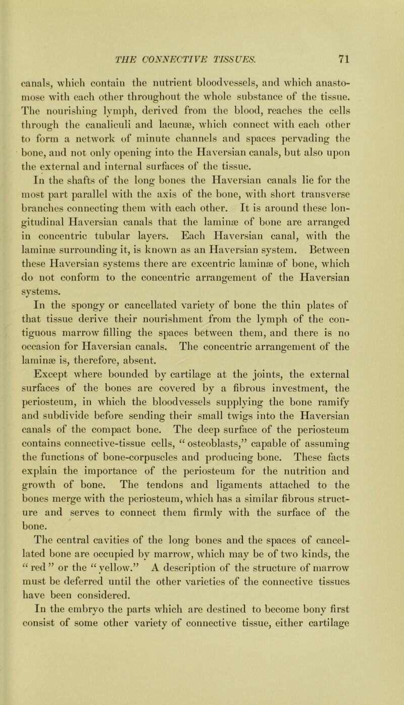 canals, which contain the nutrient bloodvessels, and which anasto- mose with each other thronghont the whole substance of the tissue. The nourishing lymph, derived from tlie blood, reaches the cells through the canalicnli and lacunae, which connect with each other to form a network of minute channels and spaces pervading the bone, and not only opening into the Haversian canals, but also upon the external and internal surfaces of the tissue. In the shafts of the long bones the Haversian canals lie for the most part parallel with the axis of the bone, with short transverse branches connecting them Avith each other. It is around these lon- gitudinal Haversian canals that the laminte of bone are arranged in concentric tubular layers. Each Haversian canal, with the laminae surrounding it, is known as an Haversian system. Between these Haversian systems there are excentric lamiii£e of bone, which do not conform to the concentric arrangement of the Haversian systems. In the spongy or cancellated variety of bone the thin plates of that tissue derive their nourishment from the lymph of the con- tiguous marrow filling the spaces between them, and there is no occasion for Haversian canals. The concentric arrangement of the laminae is, therefore, absent. Except where bounded by cartilage at the joints, the external surfaces of the bones are covered by a fibrous investment, the periosteum, in Avhich the bloodvessels supplying the bone ramify and subdivide before sending their small twigs into the Haversian canals of the compact bone. The deep surface of the periosteum contains connective-tissue cells, osteoblasts,’’ capable of assuming the functions of bone-corpuscles and producing bone. These facts explain the importance of the periosteum for the nutrition and growth of bone. The tendons and ligaments attached to the bones merge with the periosteum, which has a similar fibrous struct- ure and serves to connect them firmly with the surface of the bone. The central cavities of the long bones and the spaces of cancel- lated bone are occupied by marrow, which may be of two kinds, the ‘‘ red ” or the yellow.” A description of the structure of marrow must be deferred until the other varieties of the connective tissues^ have been considered. In the embryo the parts which are destined to become bony first consist of some other variety of connective tissue, either cartilage