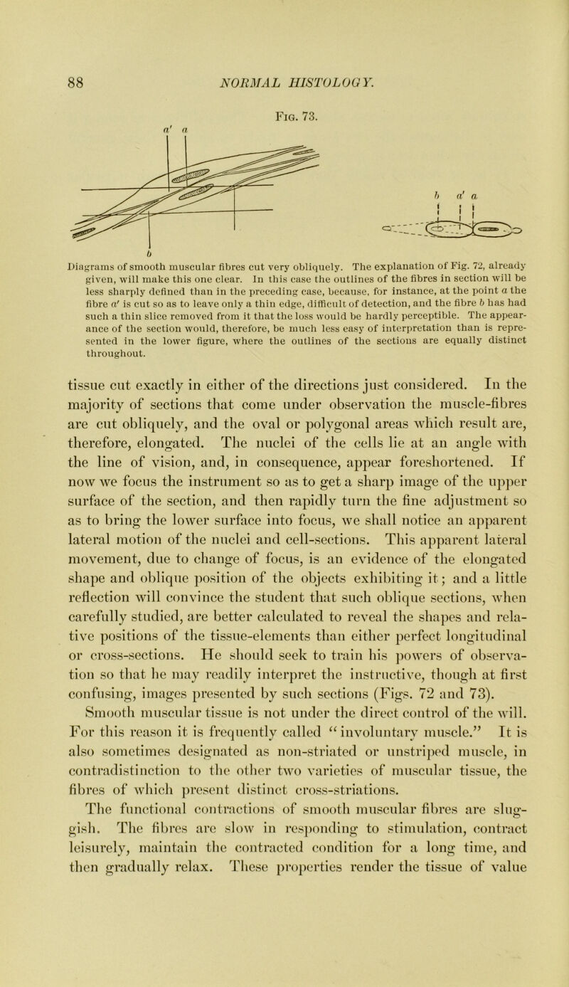 Diagrams of smooth muscular fibres cut very obliquely. The explanation of Fig. 72, already given, will make this one clear. In this case the outlines of the fibres in section will be less sharply defined than in the preceding case, because, for instance, at the point a the fibre n' is cut so as to leave only a thin edge, difficult of detection, and the fibre b has had such a thin slice removed from it that the loss would be hardly perceptible. The appear- ance of the section would, therefore, be much less easy of interpretation than is repre- sented in the lower figure, where the outlines of the sections are equally distinct throughout. tissue cut exactly in either of the directions just considered. In the majority of sections that come under observation the muscle-fibres are cut obliquely, and the oval or polygonal areas which result are, therefore, elongated. The nuclei of the cells lie at an angle with the line of vision, and, in consequence, appear foreshortened. If now we focus the instrument so as to get a sharp image of the upper surface of the section, and then rapidly turn the fine adjustment so as to bring the lower surface into focus, we shall notice an apparent lateral motion of the nuclei and cell-sections. This apparent lateral movement, due to change of focus, is an evidence of the elongated shape and oblique position of the objects exhibiting it; and a little reflection will convince the student that such oblique sections, when carefully studied, are better calculated to reveal the shapes and rela- tive positions of the tissue-elements than either perfect longitudinal or cross-sections. He should seek to train his powers of observa- tion so that he may readily interpret the instructive, though at first confusing, images presented by such sections (Figs. 72 and 73). Smootli muscular tissue is not under the direct control of the will. For this reason it is frequently called ^^involuntary muscle.” It is also sometimes designated as non-striated or unstriped muscle, in contradistinction to the otlier two varieties of muscnlar tissue, the fibres of which present distinct cross-striations. The functional contractions of smooth muscular fibres are shio'- gish. The fibres are slow in responding to stimulation, contract leisurely, maintain tlie contracted condition for a long time, and then gradually relax. These properties render the tissue of value