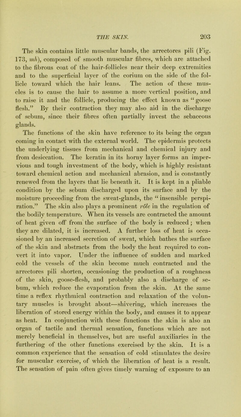 The skill contains little inusciilar bands, the arrcctores pili (Fig. 173, ?/?//), composed of smooth mnscnlar fibres, which arc attached to the fibrous coat of the hair-follicles near their deep extremities and to the superficial layer of the coriuni on the side of the fol- licle toward which the hair leans. The action of these mus- cles is to cause the hair to assume a more vertical position, and to raise it and the follicle, producing the effect known as goose flesh.By tlieir contraction they may also aid in the discharge of sebum, since their fibres often partially invest the sebaceous glands. The functions of the skin have reference to its being the organ coming in contact with the external world. The epidermis protects the underlying tissues from mechanical and chemical injury and from desiccation. The keratin in its horny layer forms an imper- vious and tough investment of the body, which is highly resistant toward chemical action and mechanical abrasion, and is constantly renewed from the layers that lie beneath it. It is kept in a pliable condition by the sebum discharged upon its surface and by the moisture proceeding from the sweat-glands, the insensible perspi- ration.’’ The skin also plays a prominent role in the regulation of the bodily temperature. When its vessels are contracted the amount of heat given off from'the surface of the body is reduced; when they are dilated, it is increased. A further loss of heat is occa- sioned by an increased secretion of sweat, which bathes the surface of the skin and abstracts from the body the heat required to con- vert it into vapor. Under the influence of sudden and marked cold the vessels of the skin become much contracted and the arrectores pili shorten, occasioning the production of a roughness of the skin, goose-flesh, and probably also a discharge of se- bum, which reduce the evaporation from the skin. At the same time a reflex rhythmical contraction and relaxation of the volun- tary muscles is brought about—shivering, which increases the liberation of stored energy within the body, and causes it to appear as heat. In conjunction with these functions the skin is also an organ of tactile and thermal sensation, functions Avhich are not merely beneficial in themselves, but are useful auxiliaries in the furthering of the other functions exercised by the skin. It is a common experience that the sensation of cold stimulates the desire for muscular exercise, of which the liberation of heat is a result. The sensation of pain often gives timely warning of exposure to an