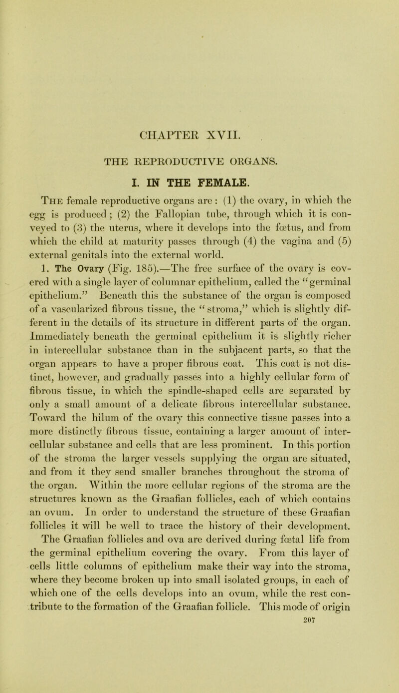 CHAPTER XVII. THE REPRODUCTIVE ORGANS. I. IN THE FEMALE. The female reproductive organs are : (1) the ovary, in which the egg is produced ; (2) the Fallopian tube, through Avhich it is con- veyed to (3) the nterns, where it develops into the foetus, and from which the child at maturity passes through (4) the vagina and (5) external genitals into the external world. 1. The Ovary (Fig. 185).—The free surface of the ovary is cov- ered with a single layer of columnar epithelium, called the ‘^germinal epithelium.’’ Beneath this the substance of the organ is composed of a vascularized fibrous tissue, the stroma,” which is slightly dif- ferent in the details of its structure in different parts of the organ. Immediately beneath the germinal epithelium it is slightly richer in intercellular substance than in the subjacent parts, so that the organ appears to have a proper fibrous coat. This coat is not dis- tinct, however, and gradually passes into a highly cellular form of fibrous tissue, in which the spindle-shaped cells are separated by onlv a small amount of a delicate fibrous intercellular substance. Toward the hilum of the ovary this connective tissue passes into a more distinctly fibrous tissue, containing a larger amount of inter- cellular substance and cells that are less prominent. In this portion of the stroma the larger vessels supplying the organ are situated, and from it they send smaller branches throughout the stroma of the organ. Within the more cellular regions of the stroma are the structures known as the Graafian follicles, each of Avhich contains an ovum. In order to understand the structure of these Graafian follicles it will be well to trace the history of their development. The Graafian follicles and ova are derived during foetal life from the germinal epithelium covering the ovary. From this layer of cells little columns of epithelium make their way into the stroma, where they become broken up into small isolated groups, in each of which one of the cells develoj^s into an ovum, while the rest con- tribute to the formation of the Graafian follicle. This mode of origin