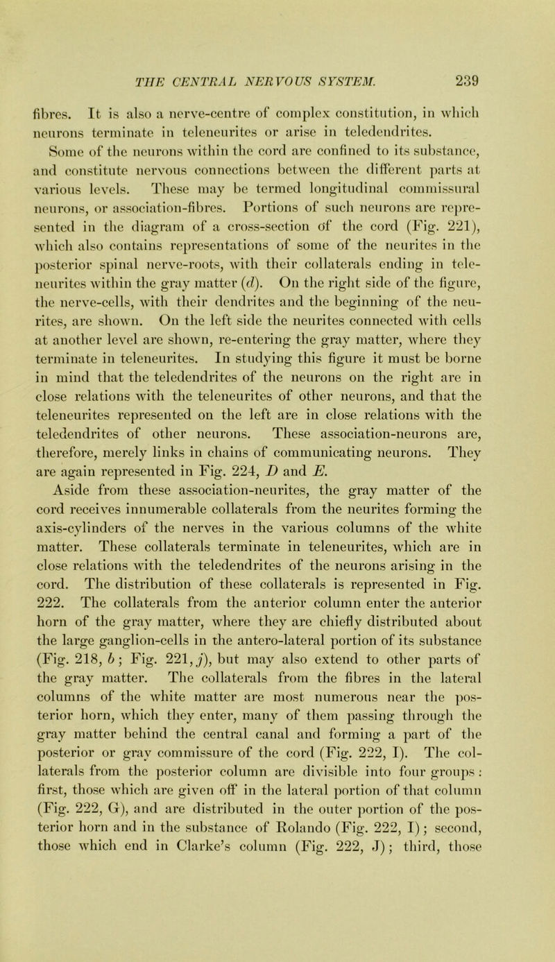 fibres. It is also a nerve-centre of complex constitution, in which neurons terminate in telenenrites or arise in teledendrites. Some of the neurons within the cord arc confined to its substance, and constitute nervous connections between the different parts at various levels. These may be termed longitudinal commissural neurons, or association-fibres. Portions of such neurons are repre- sented in the diagram of a cross-section of the cord (Fig. 221), which also contains representations of some of the neurites in the posterior spinal nerve-roots, with their collaterals ending in tele- neurites within the gray matter (d). On the right side of the figure, the nerve-cells, with their dendrites and the beginning of the neu- rites, are shown. On the left side the neurites connected with cells at another level are shown, re-entering the gray matter, where they terminate in teleneurites. In studying this figure it must be borne in mind that the teledendrites of the neurons on the right are in close relations with the teleneurites of other neurons, and that the teleneurites represented on the left are in close relations with the teledendrites of other neurons. These association-neurons are, therefore, merely links in chains of communicating neurons. They are again represented in Fig. 224, D and E. Aside from these association-neurites, the gray matter of the cord receives innumerable collaterals from the neurites forming the axis-cylinders of the nerves in the various columns of the white matter. These collaterals terminate in teleneurites, which are in close relations with the teledendrites of the neurons arising in the cord. The distribution of these collaterals is represented in Fig. 222. The collaterals from the anterior column enter the anterior horn of the gray matter, where they are chiefly distributed about the large ganglion-cells in the antero-lateral portion of its substance (Fig. 218, 6; Fig. 221, j), but may also extend to other parts of the gray matter. The collaterals from the fibres in the lateral columns of the white matter are most numerous near the pos- terior horn, which they enter, many of them passing through the gray matter behind the central canal and forming a part of the posterior or gray commissure of the cord (Fig. 222, I). The col- laterals from the posterior column are divisible into four groups : first, those which are given off in the lateral })ortion of that column (Fig. 222, G), and are distributed in the outer portion of the pos- terior horn and in the substance of Rolando (Fig. 222, I); second, those which end in Clarke’s column (Fig. 222, J); third, those