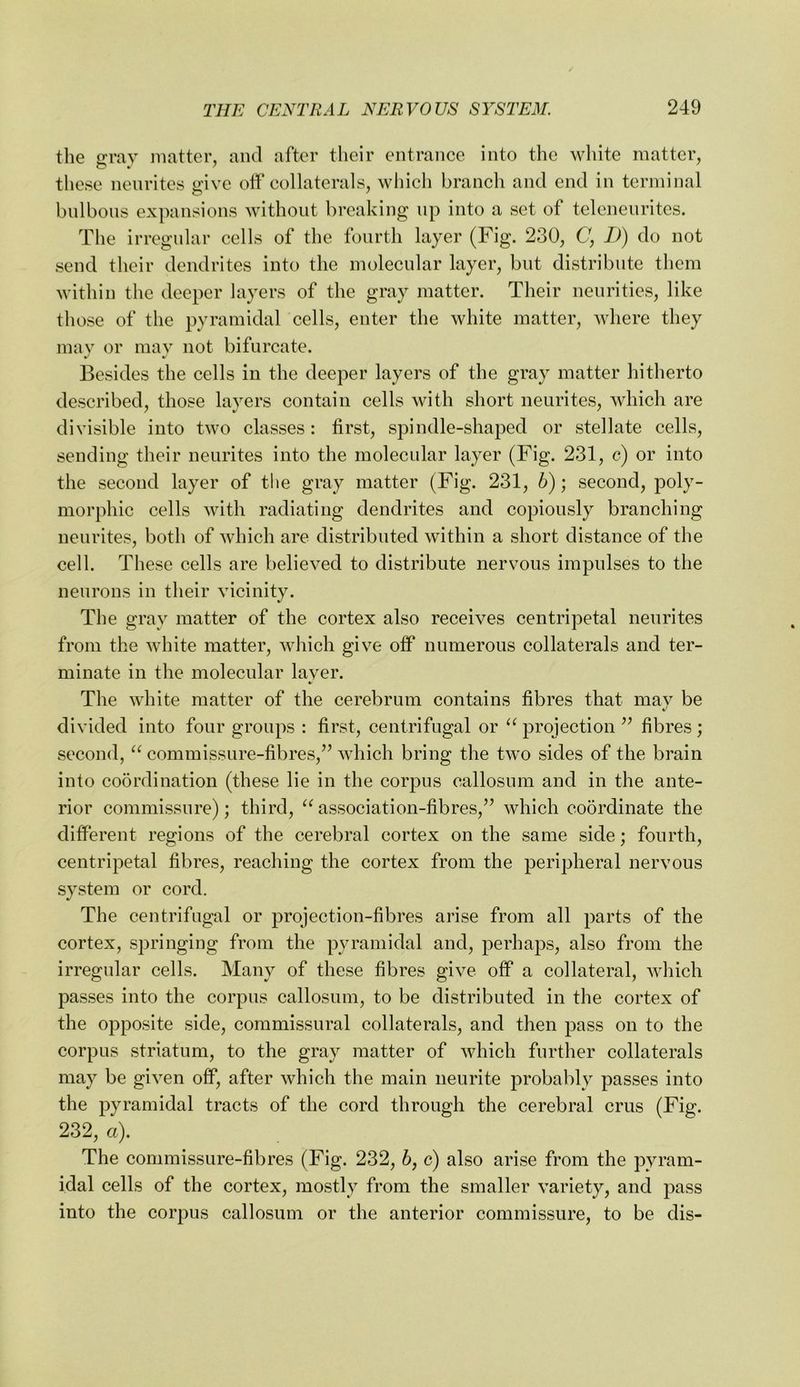 the ffi’av matter, aiul after their entrance into the white matter, these nenrites give off collaterals, which branch and end in terminal bnlbons expansions without breaking up into a set of telcneiiritcs. The irregnlar cells of the fourth layer (Fig. 230, C, D) do not send their dendrites into the molecular layer, but distribute them within the deeper layers of the gray matter. Their nenrities, like those of the pyramidal cells, enter the white matter, where they mav or mav not bifurcate. Besides the cells in the deeper layers of the gray matter hitherto described, those layers contain cells with short nenrites, which are divisible into two classes: first, spindle-shaped or stellate cells, sending their nenrites into the molecular layer (Fig. 231, c) or into the second layer of the gray matter (Fig. 231, 6); second, poly- morphic cells with radiating dendrites and copiously branching nenrites, both of which are distributed within a short distance of the cell. These cells are believed to distribute nervous impulses to the neurons in their vicinity. The gray matter of the cortex also receives centripetal nenrites from the white matter, which give off numerous collaterals and ter- minate in the molecular laver. %! The white matter of the cerebrum contains fibres that may be divided into four groups : first, centrifugal or projection fibres ; second, commissure-fibres,’’ which bring the two sides of the brain into cobrdination (these lie in the corpus callosum and in the ante- rior commissure); third, association-fibres,” which coordinate the different regions of the cerebral cortex on the same side; fourth, centripetal fibres, reaching the cortex from the peripheral nervous system or cord. The centrifugal or projection-fibres arise from all parts of the cortex, springing from the pyramidal and, perhaps, also from the irregular cells. Many of these fibres give off a collateral, which passes into the corpus callosum, to be distributed in the cortex of the opposite side, commissural collaterals, and then pass on to the corpus striatum, to the gray matter of which further collaterals may be given off, after which the main neurite probably passes into the pyramidal tracts of the cord through the cerebral crus (Fig. 232, a). The commissure-fibres (Fig. 232, 6, c) also arise from the pyram- idal cells of the cortex, mostly from the smaller variety, and pass into the corpus callosum or the anterior commissure, to be dis-