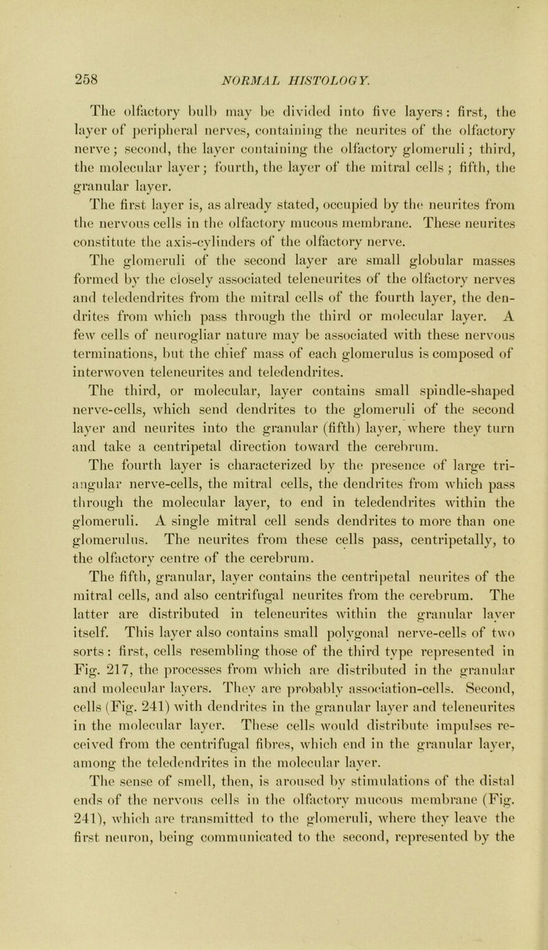 The olflictory bulb may be divided into five layers: first, the layer of ])eripheral nerves, containing the neiirites of the olfactory nerve; second, the layer containing the olfactory glomeruli; third, the molecular layer; fourth, the layer of the mitral cells ; fifth, the granular layer. The first layer is, as already stated, occupied by tlu‘ neurites from the nervous cells in the olfactory mucous membrane. These neurites constitute the axis-cylinders of the olfactory nerve. The glomeruli of the second layer are small globular masses formed by the closely associated teleneurites of the olfactory nerves and teledendrites from the mitral cells of the fourth layer, the den- drites from which pass through the third or molecular layer. A few cells of neurogliar nature may be associated with these nervous terminations, but the chief mass of each glomerulus is composed of interwoven teleneurites and teledendrites. The third, or molecular, layer contains small spindle-shaped nerve-cells, which send dendrites to the glomeruli of the second layer and neurites into the granular (fifth) layer, where they turn and take a centripetal direction toward the cerebrum. The fourth layer is characterized by the presence of large tri- angular nerve-cells, the mitral cells, the dendrites from which pass through the molecular layer, to end in teledendrites within the glomeruli. A single mitral cell sends dendrites to more than one glomerulus. The neurites from these cells pass, centripetally, to the olfactorv centre of the cerebrum. The fifth, granular, layer contains the centripetal neurites of the mitral cells, and also centrifugal neurites from the cerebrum. The latter are distributed in teleneurites within the granular layer itself. This layer also contains small polygonal nerve-cells of two sorts: first, cells resembling those of the third tvpe represented in Fig. 217, the processes from which are distributed in the granular and molecular layers. They are probably association-cells. Second, cells (Fig. 241) with dendrites in the granular layer and teleneurites in the molecular layer. These cells would distribute impulses re- ceived from the centrifugal fibres, which end in the granular layer, among the teledendrites in the molecular laver. Tlie sense of smell, then, is aroused by stimulations of the distal ends of the nervous cells in the olfactorv mucous membrane (Fig. 241), which are transmitted to the glomeruli, where they leave the first neuron, being communicated to the second, represented by the