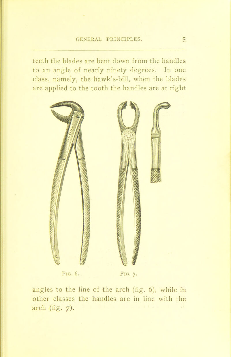 teeth the blades are bent down from the handles to an angle of nearly ninety degrees. In one class, namely, the hawk’s-bill, when the blades are applied to the tooth the handles are at right Fig. 6. Fig. 7. angles to the line of the arch (fig. 6), while in other classes the handles are in line with the arch (fig. 7).