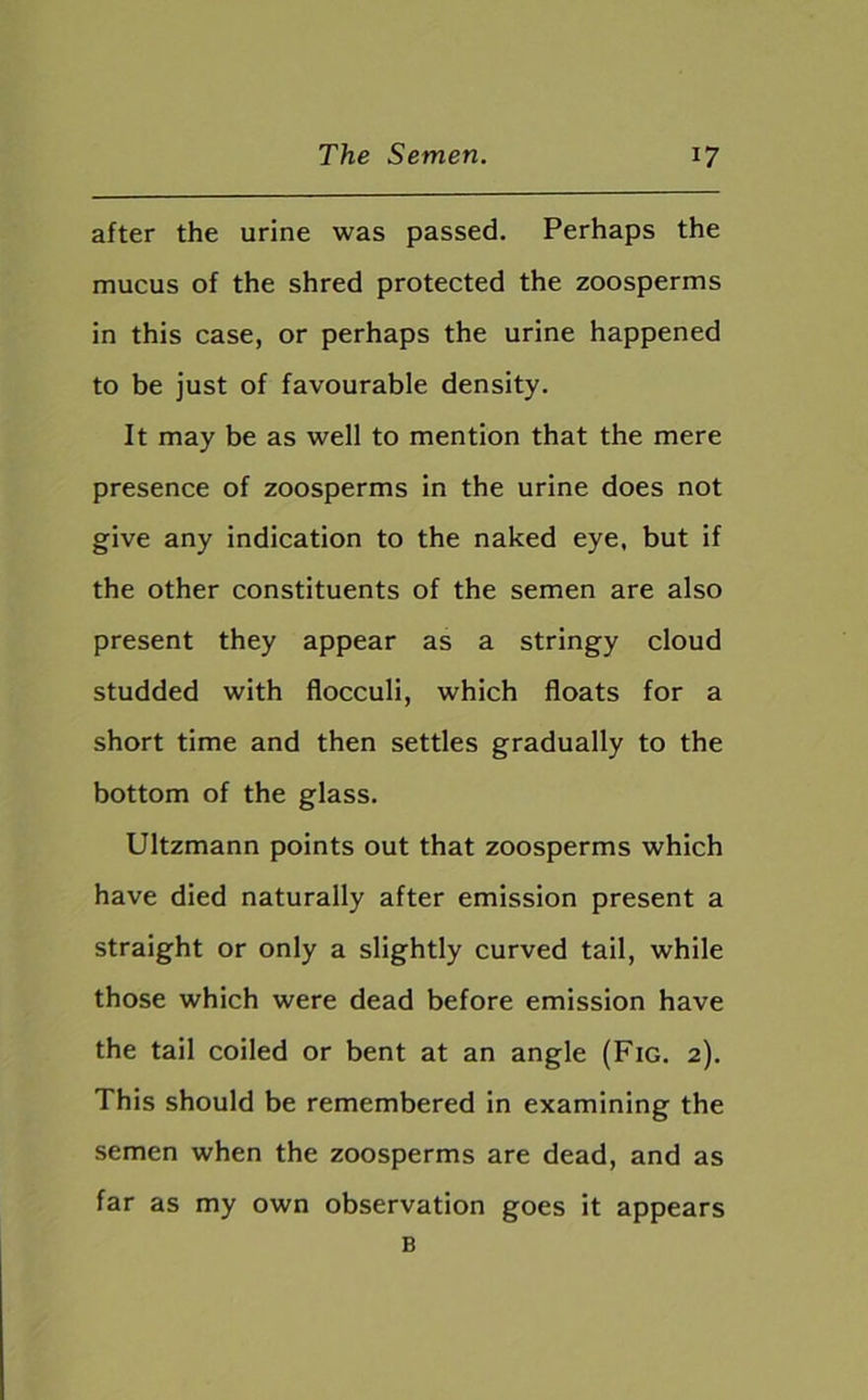 after the urine was passed. Perhaps the mucus of the shred protected the zoosperms in this case, or perhaps the urine happened to be just of favourable density. It may be as well to mention that the mere presence of zoosperms in the urine does not give any indication to the naked eye, but if the other constituents of the semen are also present they appear as a stringy cloud studded with flocculi, which floats for a short time and then settles gradually to the bottom of the glass. Ultzmann points out that zoosperms which have died naturally after emission present a straight or only a slightly curved tail, while those which were dead before emission have the tail coiled or bent at an angle (Fig. 2). This should be remembered in examining the semen when the zoosperms are dead, and as far as my own observation goes it appears B