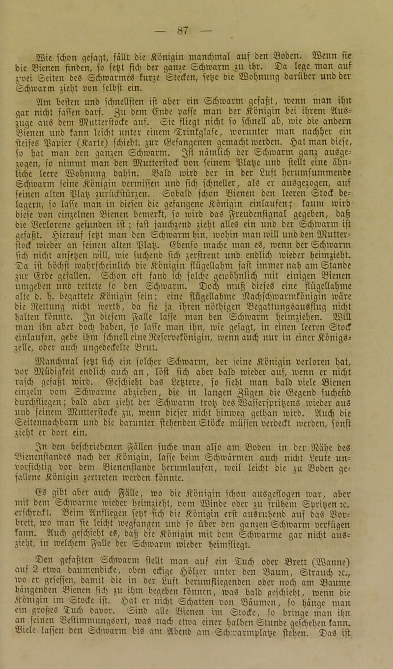 2Bie fcbon cjefaqt, fällt bic .Königin manchmal auf ben ©oben. SEBentt fie bic ©ienen finben, fo fc^t fid) bcr ganje Sdjwarm 311 ihr. ®a lege man auf 3'vet Setten beb ©djwarmeb furje Steden, febe bic 2Bol)uung barüber unb ber Schwarm jiet^t oon felbft ein. 21 nt beften unb fchnellftcn ift aber ein Schwarm gefaxt, wenn ntan il)tt gar nid)t faffett bavf. 311 bem (5nbe paffe ntan ber Königin bei ihrem 2tub= juge aub bettt ©hitterftode auf. Sie fliegt nid)t fo fcf>rtell ab, wie bie anbern ©ienen unb fann Icidjt unter einem ©rinfglafe, worunter man nadjbcr ein fteifeb ©apicr (.Karte) fdnebt, 31« ©efangetten gentad)t werben. £>at man biefc, fo hat man ben gan3en Schwarm. 3f* nämlidj bcr Sdjwarm ganj aubgc= 3ogen, fo nimmt man ben ©tutterftod 001t feinem ©lat3c unb ftetit eine äl)tt= liebe leere SEwhnung babin. ©alb wirb bcr in bcr finft heruntfummenbe Schwarm feine Königin üermiffeu unb fid) fd)ncller, alb er aubgejogen, auf feinen alten ©lab juritdftürjen. Sobalb fdjott ©ienen ben leeren Stod be= lagern, fo laffe ntan in biefen bie gefangene Königin cinlanfcn; faunt Wirb biefe oon cinjelnett ©ienen bemerft, fo wirb bab grenbenfignal gegeben, baff bie Verlorene gefunbeu ift; faft jaucbjcnb giel)t allcb ein unb bcr Sd)Warm ift gefaxt, hierauf fetjt man ben Sd)warm bin, wobin man will unb ben ©iuttew fiod wieber an feinen alten ©lab. ©benfo madje man eb, wenn bcr Sdjwarm fidt tiid)t anfeben wiU, wie fudjcnb fid) gcrfircitt unb enblid) wieber tjeimjieljt. ®a ift bödjft wal)r(d)einlid) bie Königin flügellahm faft immer nab am Stanbe 3ttr (Srbe gefallen. Sd)ott oft fanb tcf> folclte gewöt)nltdj mit einigen ©ienen umgeben unb rettete fo ben Schwarm. ©odi muff biefeb eine flügellahme alte b. I). begattete Königin fein; eine flügellahme ©adjfdjwarmfönigm wäre bie SRettung nid)t wertl), ba fie ja il)ren nötl)igcn ©egattnngbaubflug nicht halten fcnntc. 3n biefent galle laffe man ben Sdjwarm bjeimsieloen. 23iH man ihn aber bodj haben, fo taffe man ihn, wie gejagt, in einen teeren Stod einlattfen, gebe it)tn fchnell eine fReferöefönigin, wenn aud) nur in einer Äönigb= 3ellc, ober aud) ungebedeltc ©rat. ©tandjmat fehl fid) ein fold)er Sdjwarm, ber feine Königin Oerforen h^t, Vor ©iiibigfeit enblid) and) an, löft fid) aber halb wieber auf, wenn er nid)t rafd) gefaxt wirb, ©efebieht bab Set3tcre, fo fiel)t man halb oicle ©ienen einjeltt 00m Schwarme abjiebett, bie in langen „giigen bic ©egenb fud)crtb burchflicgen; halb aber jieht ber Sd)warnt tro(j beb ©Safjerfpribcnb wieber aub unb feinem ©tutterftode 31t, wenn biefer nid)t hinweg getl)an wirb. 2lutb bie Seitennad)barn unb bie barttntcr ftebenbcu Stode ntüfjen oerbedt werben, foitft 3iel)t er bort ein. 3n ben bcfd)riebencit gälten fudje man alfo am ©oben in ber fftähe beb ©ienenftanbeb nad) ber Königin, laffe beim Schwärmen aud) nid)t £eute utt= oovfidjtig Oor bem Sicncnftanbe tm'untlaufcn, Weit leieftt bic 3U ©oben ge= fallene Königin jertreten werben tonnte. (5b gibt aber and) gälle, wo bie Königin fdjott aubgeflogen War, aber mit bem Schwärme wieber heimjieljt, 00m UBinbc ober 31t frühem Sprifien :c. crjdjredt. ©eim ?(nfliegen fetJt fid) bie Königin erft aubruhenb auf bab ©or= bvett, wo man fie Icid)t wegfangen unb fo über ben ga^cn Sd)Wartn oerfügen tarnt. 2ludj gefd)iet)t cb, baf bie Königin mit bent Schwarme gar nid)t aub= ßieht, in wetd)cm gälte ber Sdjwarm wieber beim fliegt. ©en gefaxten Sdjwarm ftellt man auf ein ©ud) ober ©rett (Spanne) auf 2 etwa baumenbiefe, oben edige ^»öljcr unter ben ©aum, Strand) :c., loo er gefeffen, bamit bie in ber Suft hcrumfliegcnbcn ober noch aut ©aume bangenben ©ienen fid) 311 i()in begeben tonnen, wab halb gefduel)t, Wenn bie Königtn im Stode ift. £at er nicht Sdjatten Oon Säumen, fo hänge man ein grofjcb ©ud) baoor. Sinb alle ©ienen im Stode, fo bringe mau ihn an feinen ©eftimmungbort, wab nad) etwa einer halben Stunbe gefdjeben fann. ©tele laffen ben ©dtwarm bib am Slbenb am Sdy.varmplabe flehen, ©ab ift