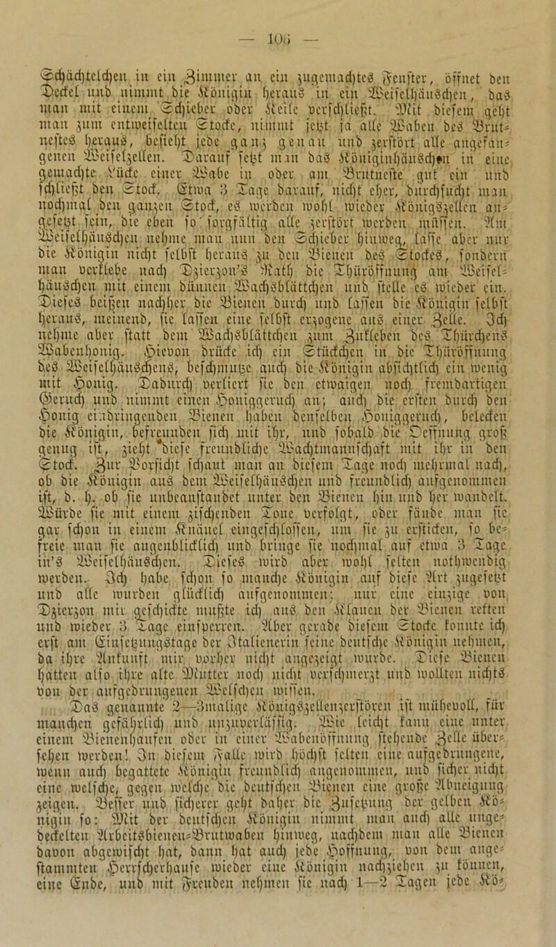 D>cdel unb nimmt bie Königin tjeraud in ein 3Bcife(btiitdd)cn, bad man mit einem 2d)icber ober «eite ücvfcf)£ießt. OJiit biefem gebt man juni eiitmeifeftcu 2todc, nimmt jeijt ja ade ÜBabeit bed 23rut* nefted betäub, befielt jebe gang genau unb gerftört ade angetan* gelten SeifetjeUeit. Darauf fef}t man bdS i£önigin()äudd)«t iii eine genutzte Viide einer $Babe in ober am SSriitncfte gut ein unb fließt ben 2tod. (|tma 3 Dagc baraitf, nidjt et)er, burdjfudjt man itod)mat beit gangen Stod, cd werben luofjt wicber .Ü'öittgdgedcn an* gefegt fein, bie eben fo' forgfüttig ade gerftört werben miiffeit. i’tiit 2öeueC()äudd)cu nel)ine man nun beit Schieber ()inweg, (affe aber nur bie Königin itid)t felbft beraub 311 beit tßieueu bed 2todcd, fonbern man oerflebc itad) Dgiergon’d durtf) bie X()iir'öffitititg am UB,eifc(* ()äudd)cit mit einem bünitcn 2£ad)bb(üttd)en unb ftede cd wicber ein. Diefed beißen nad)()cr bie 23icueu bttrd) unb (affen bie Königin felbft Ijergud, meincub, fic (affen eine fcfbft ergogenc and einer ßeile. 3d) net)iue aber ftatt bent 2Bad)db(ättdjen gunt 3u^ebcn bed D()ürd)eud 2Babeu()ouig. £>icbou brndc id) ein 2tüdd)cn in bie Dbüröffuung bed 2Bcifc(()äudd)cnd, befdjmuge and) bie Königin abfid)t(id) ein wenig mit ßoitig. Daburd) ocrliert fic ben etwaigen uod) fremdartigen ©crua) unb nimmt einen fponiggerud) an; and) bie crffeit burdj ben ßoitig ci.ibriugenbcn SBienen Ijaben bcitfelbcn .Öoniggcrnd), betedeu bie Äöitigiit, befreunben fid) mit if)r, unb fobalb bie peffnung groß genug ift, ^iefjt *biefc fremtbüdjc SBad)tmamtfd)aft mit iffr in ben 2tod. 3ur ®ovfid)t fcf)aut man an biefem Tage nod) nte()rma( itad), ob bie Königin aud bent 2Bcife(()äudd)eit unb frcunblidj ausgenommen ift, b. I). ob fic uitbcauftanbet unter ben föicnen bin unb Ijcr wanbeit. 2Bürbe fic mit einem gifdjenben Donc öcrfolgt, ober fänbe man fic gar fd)on in einem Knäuel eingefd)(offen, um fie 311 erftideu, fo_ be* freie man fic augcnblid(id) unb bringe fie nod)ma( auf etwa 3 Dagc iit’d 2Öcifcl()äudd)cn. Dicfed wirb aber wo()( fetten notbwenbig werben. 3d) l)a^c fdjoit; fo mattdjc Königin auf biefe t?(rt gugefedt unb ade würben g(iidüd) aufgenommen; nur eilte eingige üoit Dgicrgon mit gefdjicf'tc muffte icl) aud ben .Ulanen bet 23icucn retten uub wicber 3 -tage einfpcrreit. Ülbcr gerabe biefem 2todc tonnte id) erft am Siufctjnugdtagc ber 3ta(icncriu feine beutfd)c .Uönigin ltebmeit, ba i(;re Sütfunft mir rund) er nidjt augegeigt würbe. Dicfe 23ieucn batten a(fo iljre a(te ‘Diuttcr nod) niefit ucrfdjmergt unb wollten nidjtd non ber aufgebrungeneu 2Bc(fd)cn wiffeu. Dad genannte 2—3matige btönigdgcllengcrftörcn ift nuibeuod, für utaud)cn gcfübrlid) unb ungituerfäfftg. 2£ic (cidjt fauit eine unter einem 23ienehf)auferi ober in einer iüJabcu Öffnung ftefjcubc 3cfle über* fcljen werben! 3n biefem Amde wirb ()öd)ft feiten eine nufgcbrungeite, wenn aud) begattete Äönigiu frcmiblicf) angenommen, uub fidjer nidjt eine wc(fcf)e, gegen weldjc bie beutfdjen 33icncn eine große Ülbneigung jeigett. 33 eff er unb fidjercr geljt baljer bie ßiifetmug ber gelben AÜö* itigiit fo: 9Jiit ber bcutfdjcn ötöuigiit nimmt man and) ade ginge* bedcltcu 3(rbcitdbicnen*33rutwaben Ijtuwcg, uadjbcm man alle 23icncit baoon abgcwifdjt fjut, bann fjut and) jebe ^offnung, ooit bem äuge* ftammteu ^errfdjemaufe wicber eine Königin nad)gie()cu 51t föniicit, eine (Sitbc, uub mit ^teuben nefjmen fic nad) 1—2 Dagen jebe dtö*