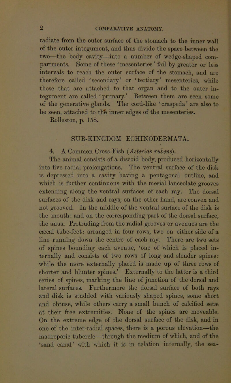 radiate from the outer surface of the stomach to the inner wall of the outer integument, and thus divide the space between the two—the body cavity—into a number of wedge-shaped com- partments. Some of these ‘ mesenteries ’ fail by greater or less intervals to reach the outer surface of the stomach, and are therefore called ‘secondary’ or ‘tertiary’ mesenteries, while those that are attached to that organ and to the outer in- tegument are called ‘ primary.’ Between them are seen some of the generative glands. The cord-like ‘ craspeda ’ are also to be seen, attached to thb inner edges of the mesenteries. Rolleston, p. 158. SUB-KINGDOM ECHINODERMATA. 4. A Common Cross-Fish (Asterias rubens). The animal consists of a discoid body, produced horizontally into five radial prolongations. The ventral surface of the disk is depressed into a cavity having a pentagonal outline, and which is further continuous with the mesial lanceolate grooves extending along the ventral surfaces of each ray. The dorsal surfaces of the disk and rays, on the other hand, are convex and not grooved. In the middle of the ventral surface of the disk is the mouth: and on the corresponding part of the dorsal surface, the anus. Protruding from the radial grooves or avenues are the csecal tube-feet: arranged in four rows, two on either side of a line running down the centre of each ray. There are two sets of spines bounding each avenue, ‘one of which is placed in- ternally and consists of two rows of long and slender spines: while the more externally placed is made up of three rows of shorter and blunter spines.’ Externally to the latter is a third series of spines, marking the line of junction of the dorsal and lateral surfaces. Furthermore the dorsal surface of both rays and disk is studded with variously shaped spines, some short and obtuse, while others carry a small bunch of calcified sefre at their free extremities. None of the spines are moveable. On the extreme edge of the dorsal surface of the disk, and in one of the inter-radial spaces, there is a porous elevation—the madreporic tubercle—through the medium of which, and of the ‘sand canal’ with which it is in relation internally, the sea-