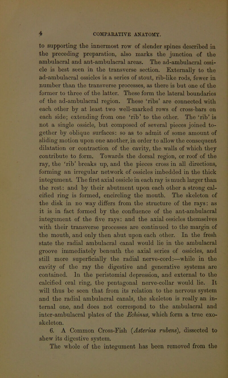 to supporting the innermost row of slender spines described in the preceding preparation, also marks the junction of the ambulacral and ant-ambulacral areas. The ad-ambulacral ossi- cle is best seen in the transverse section. Externally to the ad-ambulacral ossicles is a series of stout, rib-like rods, fewer in number than the transverse processes, as there is but one of the former to three of the latter. These form the lateral boundaries of the ad-ambulacral region. These ‘ribs’ are connected with each other by at least two well-marked rows of cross-bars on each side; extending from one ‘rib’ to the other. The ‘rib’ is not a single ossicle, but composed of several pieces joined to- gether by oblique surfaces: so as to admit of some amount of sliding motion upon one another, in order to allow the consequent dilatation or contraction of the cavity, the walls of which they contribute to form. Towards the dorsal region, or roof of the ray, the ‘rib’ breaks up, and the pieces cross in all directions, forming an irregular network of ossicles imbedded in the thick integument. The first axial ossicle in each ray is much larger than the rest: and by their abutment upon each other a strong cal- cified ring is formed, encircling the mouth. The skeleton of the disk in no way differs from the structure of the rays: as it is in fact formed by the confluence of the ant-ambulacral integument of the five rays: and the axial ossicles themselves with their transverse processes are continued to the margin of the mouth, and only then abut upon each other. In the fresh state the radial ambulacral canal would lie in the ambulacral groove immediately beneath the axial series of ossicles, and still more superficially the radial nerve-cord:—while in the cavity of the ray the digestive and generative systems are contained. In the peristomial depression, and external to the calcified oral ring, the pentagonal nerve-collar would lie. It will thus be seen that from its relation to the nervous system and the radial ambulacral canals, the skeleton is really an in- ternal one, and does not correspond to the ambulacral and inter-ambulacral plates of the Echinus, which form a true exo- skeleton. 6. A Common Cross-Fish (Asterias rubens), dissected to shew its digestive system. The whole of the integument has been removed from the