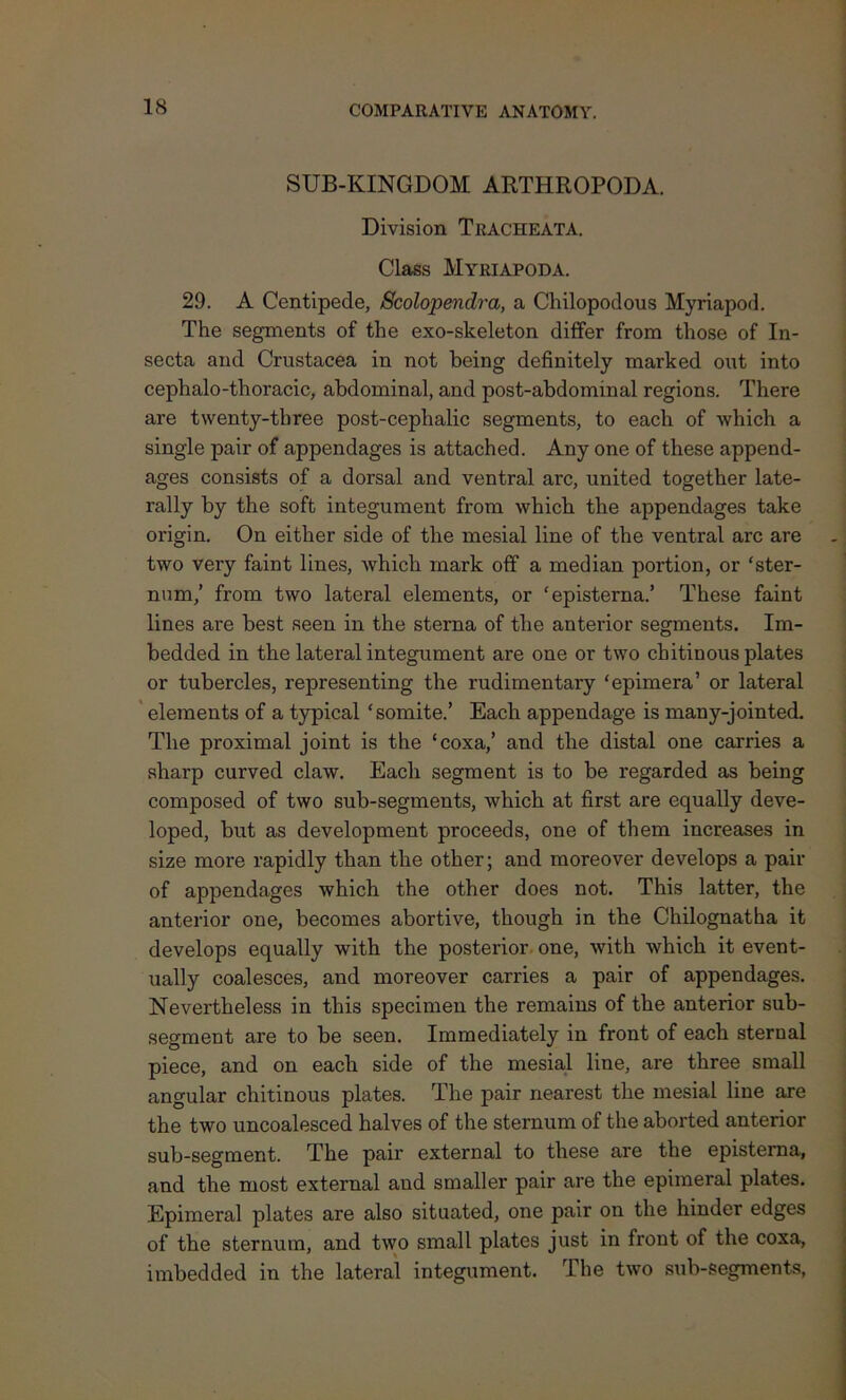 SUB-KINGDOM ARTHROPODA. Division Tracheata. Class Myriapoda. 29. A Centipede, Scolopendra, a Chilopodous Myriapod. The segments of the exo-skeleton differ from those of In- secta and Crustacea in not being definitely marked out into cephalo-thoracic, abdominal, and post-abdominal regions. There are twenty-three post-cephalic segments, to each of which a single pair of appendages is attached. Any one of these append- ages consists of a dorsal and ventral arc, united together late- rally by the soft integument from which the appendages take origin. On either side of the mesial line of the ventral arc are two very faint lines, which mark off a median portion, or ‘ster- num,’ from two lateral elements, or ‘episterna.’ These faint lines are best seen in the sterna of the anterior segments. Im- bedded in the lateral integument are one or two chitinous plates or tubercles, representing the rudimentary ‘epimera’ or lateral elements of a typical ‘somite.’ Each appendage is many-jointed. The proximal joint is the ‘coxa,’ and the distal one carries a sharp curved claw. Each segment is to be regarded as being composed of two sub-segments, which at first are equally deve- loped, but as development proceeds, one of them increases in size more rapidly than the other; and moreover develops a pair of appendages which the other does not. This latter, the anterior one, becomes abortive, though in the Chilognatha it develops equally with the posterior one, with which it event- ually coalesces, and moreover carries a pair of appendages. Nevertheless in this specimen the remains of the anterior sub- segment are to be seen. Immediately in front of each sternal piece, and on each side of the mesial line, are three small angular chitinous plates. The pair nearest the mesial line are the two uncoalesced halves of the sternum of the aborted anterior sub-segment. The pair external to these are the episterna, and the most external and smaller pair are the epimeral plates. Epimeral plates are also situated, one pair on the hinder edges of the sternum, and two small plates just in front of the coxa, imbedded in the lateral integument. The two sub-segments,
