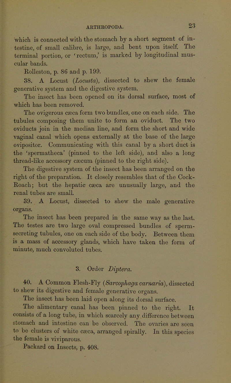 A11TH110P0DA. which is connected with the stomach by a short segment of in- testine, of small calibre, is large, and bent upon itself. The terminal portion, or ‘ rectum,’ is marked by longitudinal mus- cular bands. Rolleston, p. 86 and p. 199. 38. A Locust (Locusta), dissected to shew the female generative system and the digestive system. The insect has been opened on its dorsal surface, most of which has been removed. The ovigerous caeca form two bundles, one on each side. The tubules composing them unite to form an oviduct. The two oviducts join in the median line, and form the short and wide vaginal canal which opens externally at the base of the large ovipositor. Communicating with this canal by a short duct is the ‘spermatheca’ (pinned to the left side), and also a long thread-like accessory caecum (pinned to the right side). The digestive system of the insect has been arranged on the right of the preparation. It closely resembles that of the Cock- Roach; but the hepatic caeca are unusually large, and the renal tubes are small. 39. A Locust, dissected to shew the male generative organs. The insect has been prepared in the same way as the last. The testes are two large oval compressed bundles of sperm- secreting tubules, one on each side of the body. Between them is a mass of accessory glands, which have taken the form of minute, much convoluted tubes. 3. Order Diptera. 40. A Common Flesh-Fly (Sarcophaga carnaria), dissected to shew its digestive and female generative organs. The insect has been laid open along its dorsal surface. The alimentary canal has been pinned to the right. It consists of a long tube, in which scarcely any difference between stomach, and intestine can be observed. The ovaries are seen to be clusters of white caeca, arranged spirally. In this species the female is viviparous. Packard on Insects, p. 408.