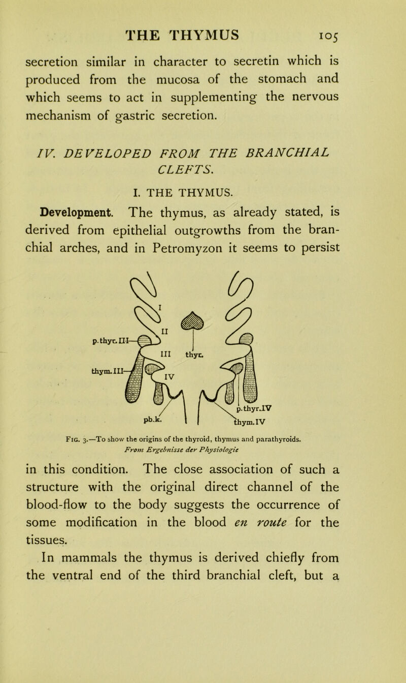 secretion similar in character to secretin which is produced from the mucosa of the stomach and which seems to act in supplementing the nervous mechanism of gastric secretion. IV. DEVELOPED FROM THE BRANCHIAL CLEFTS. I. THE THYMUS. Development. The thymus, as already stated, is derived from epithelial outgrowths from the bran- chial arches, and in Petromyzon it seems to persist Fig. 3.—To show the origins of the thyroid, thymus and parathyroids. From Ergebnisse der Physiologic in this condition. The close association of such a structure with the original direct channel of the blood-flow to the body suggests the occurrence of some modification in the blood e7i route for the tissues. In mammals the thymus is derived chiefly from the ventral end of the third branchial cleft, but a