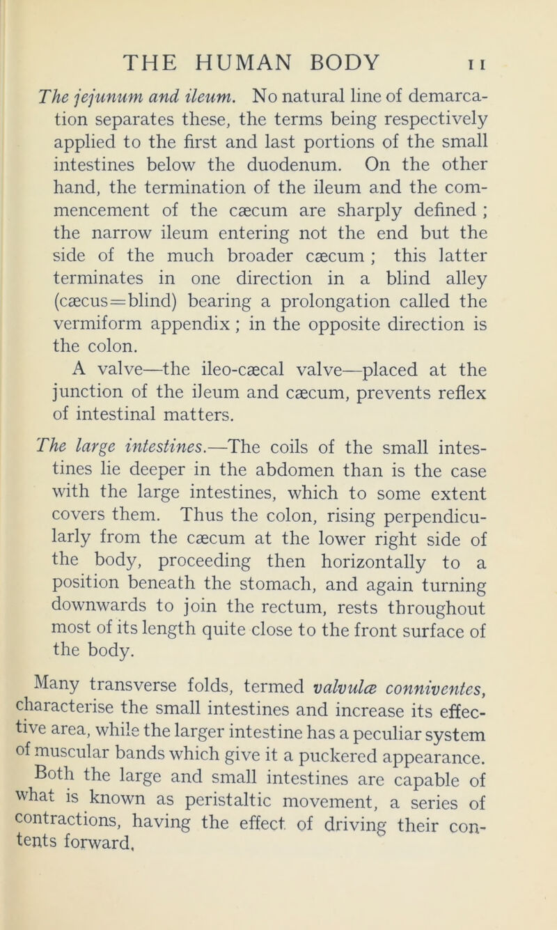 The jejunum and ileum. No natural line of demarca- tion separates these, the terms being respectively applied to the first and last portions of the small intestines below the duodenum. On the other hand, the termination of the ileum and the com- mencement of the caecum are sharply defined ; the narrow ileum entering not the end but the side of the much broader caecum ; this latter terminates in one direction in a blind alley (caecus=blind) bearing a prolongation called the vermiform appendix; in the opposite direction is the colon. A valve—the ileo-caecal valve—placed at the junction of the ileum and caecum, prevents reflex of intestinal matters. The large intestines.—The coils of the small intes- tines lie deeper in the abdomen than is the case with the large intestines, which to some extent covers them. Thus the colon, rising perpendicu- larly from the caecum at the lower right side of the body, proceeding then horizontally to a position beneath the stomach, and again turning downwards to join the rectum, rests throughout most of its length quite close to the front surface of the body. Many transverse folds, termed valvulce conniventes, characterise the small intestines and increase its effec- tive area, while the larger intestine has a peculiar system of muscular bands which give it a puckered appearance. Both the large and small intestines are capable of what is known as peristaltic movement, a series of contractions, having the effect of driving their con- tents forward,