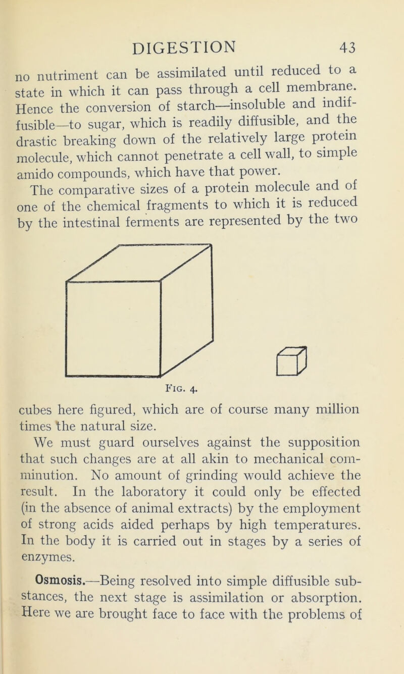 no nutriment can be assimilated until reduced to a state in which it can pass through a cell membrane. Hence the conversion of starch—insoluble and indif- fusible—to sugar, which is readily diffusible, and the drastic breaking down of the relatively large protein molecule, which cannot penetrate a cell wall, to simple amido compounds, which have that power. The comparative sizes of a protein molecule and of one of the chemical fragments to which it is reduced by the intestinal ferments are represented by the two cubes here figured, which are of course many million times the natural size. We must guard ourselves against the supposition that such changes are at all akin to mechanical com- minution. No amount of grinding would achieve the result. In the laboratory it could only be effected (in the absence of animal extracts) by the employment of strong acids aided perhaps by high temperatures. In the body it is carried out in stages by a series of enzymes. Osmosis.—Being resolved into simple diffusible sub- stances, the next stage is assimilation or absorption. Here we ai'e brought face to face with the problems of Fig. 4.