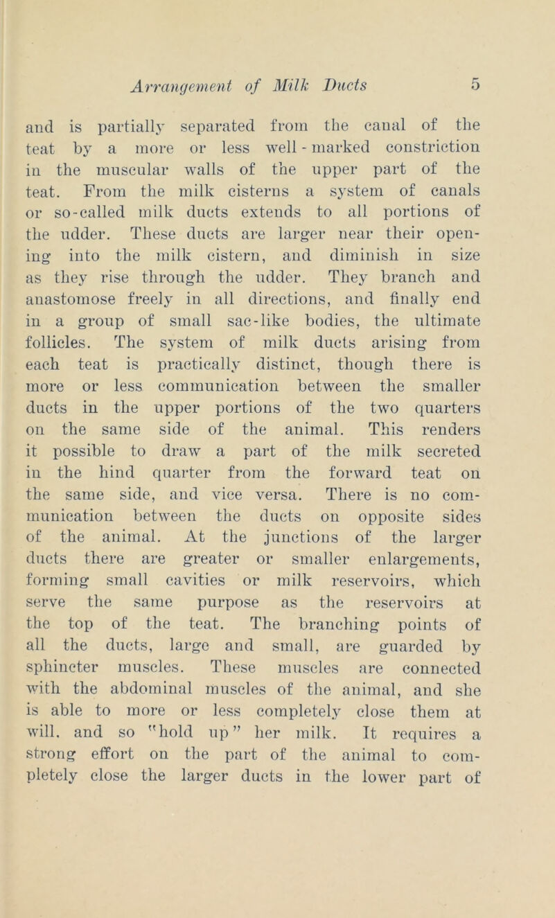 and is partially separated from the canal of the teat by a more or less well - marked constriction ill the muscular walls of the upper part of the teat. From the milk cisterns a system of canals or so-called milk ducts extends to all portions of the udder. These ducts are larger near their open- ing into the milk cistern, and diminish in size as they rise through the udder. They branch and anastomose freely in all directions, and finally end in a group of small sac-like bodies, the ultimate follicles. The system of milk ducts arising from each teat is practically distinct, though there is more or less communication between the smaller ducts in the upper portions of the two quarters on the same side of the animal. This renders it possible to draw a part of the milk secreted in the hind quarter from the forward teat on the same side, and vice versa. There is no com- munication between the ducts oii opposite sides of the animal. At the junctions of the larger ducts there are greater or smaller enlargements, forming small cavities or milk reservoirs, which serve the same purpose as the reservoirs at the top of the teat. The branching points of all the ducts, large and small, are guarded by sphincter muscles. These muscles are connected with the abdominal muscles of the animal, and she is able to more or less completely close them at will, and so hold up her milk. It requires a strong effort on the part of the animal to com- pletely close the larger ducts in the lower part of