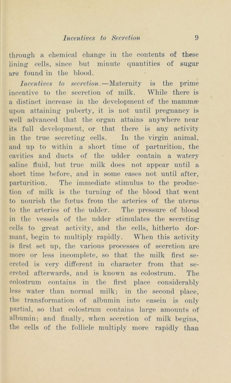 through a chemical change in the contents of these lining cells, since but minute quantities of sugar are found in the blood. Incentives to secretion.—Maternity is the prime incentive to the secretion of milk. While there is a distinct increase in the development of the mammae upon attaining puberty, it is not until pregnancy is well advanced that the organ attains anywhere near its full development, or that there is any activity in the true secreting cells. In the Virgin animal, and up to within a short time of parturition, the cavities and ducts of the udder contain a watery saline fluid, but true milk does not appear until a short time before, and in some cases not until after, parturition. The immediate stimulus to the produc- tion of milk is the turning of the blood that went to nourish the foetus from the arteries of the uterus to the arteries of the udder. The pressure of blood in the vessels of the udder stimulates the secreting cells to great activity, and the cells, hitherto dor- mant, begin to multiply rapidly. When this activity is first set up, the various i)rocesses of secretion are more or less incomplete, so that the milk first se- creted is very different in character from that se- creted afterwards, and is known as colostrum. The colostrum contains in the first place considerably less water than normal milk; in the second place, the transformation of albumin into casein is only partial, so that colostrum contains large amounts of albumin; and finally, when secretion of milk begins, the cells of the follicle multiply more rapidly than