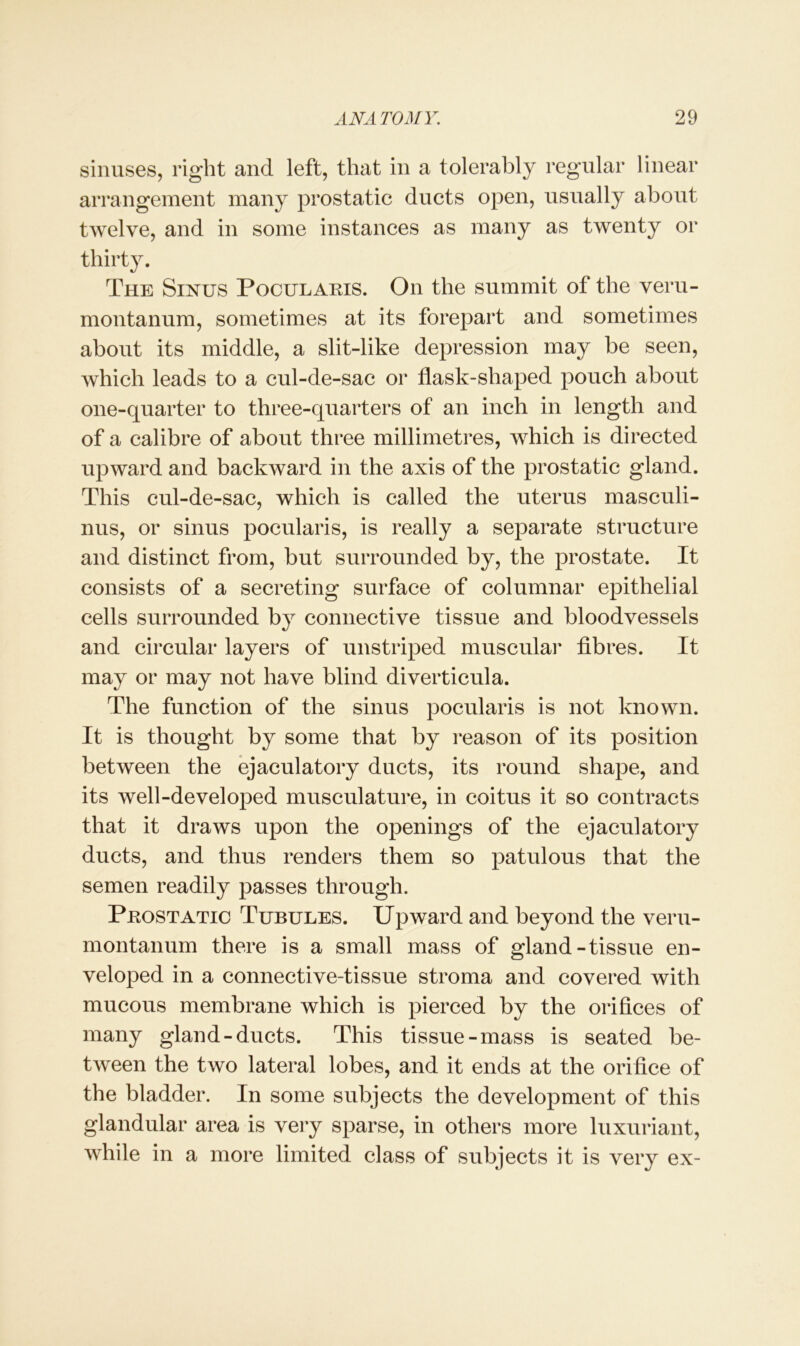 sinuses, right and left, that in a tolerably regular linear arrangement many prostatic ducts open, usually about twelve, and in some instances as many as twenty or thirty. The Sinus Pocularis. On the summit of the veru- montanum, sometimes at its forepart and sometimes about its middle, a slit-like depression may be seen, which leads to a cul-de-sac or flask-shaped pouch about one-quarter to three-quarters of an inch in length and of a calibre of about three millimetres, which is directed upward and backward in the axis of the prostatic gland. This cul-de-sac, which is called the uterus masculi- nus, or sinus pocularis, is really a separate structure and distinct from, but surrounded by, the prostate. It consists of a secreting surface of columnar epithelial cells surrounded by connective tissue and bloodvessels and circular layers of unstriped muscular fibres. It may or may not have blind diverticula. The function of the sinus pocularis is not known. It is thought by some that by reason of its position between the ejaculatory ducts, its round shape, and its well-developed musculature, in coitus it so contracts that it draws upon the openings of the ejaculatory ducts, and thus renders them so patulous that the semen readily passes through. Prostatic Tubules. Upward and beyond the veru- montanum there is a small mass of gland-tissue en- veloped in a connective-tissue stroma and covered with mucous membrane which is pierced by the orifices of many gland-ducts. This tissue-mass is seated be- tween the two lateral lobes, and it ends at the orifice of the bladder. In some subjects the development of this glandular area is very sparse, in others more luxuriant, while in a more limited class of subjects it is very ex-