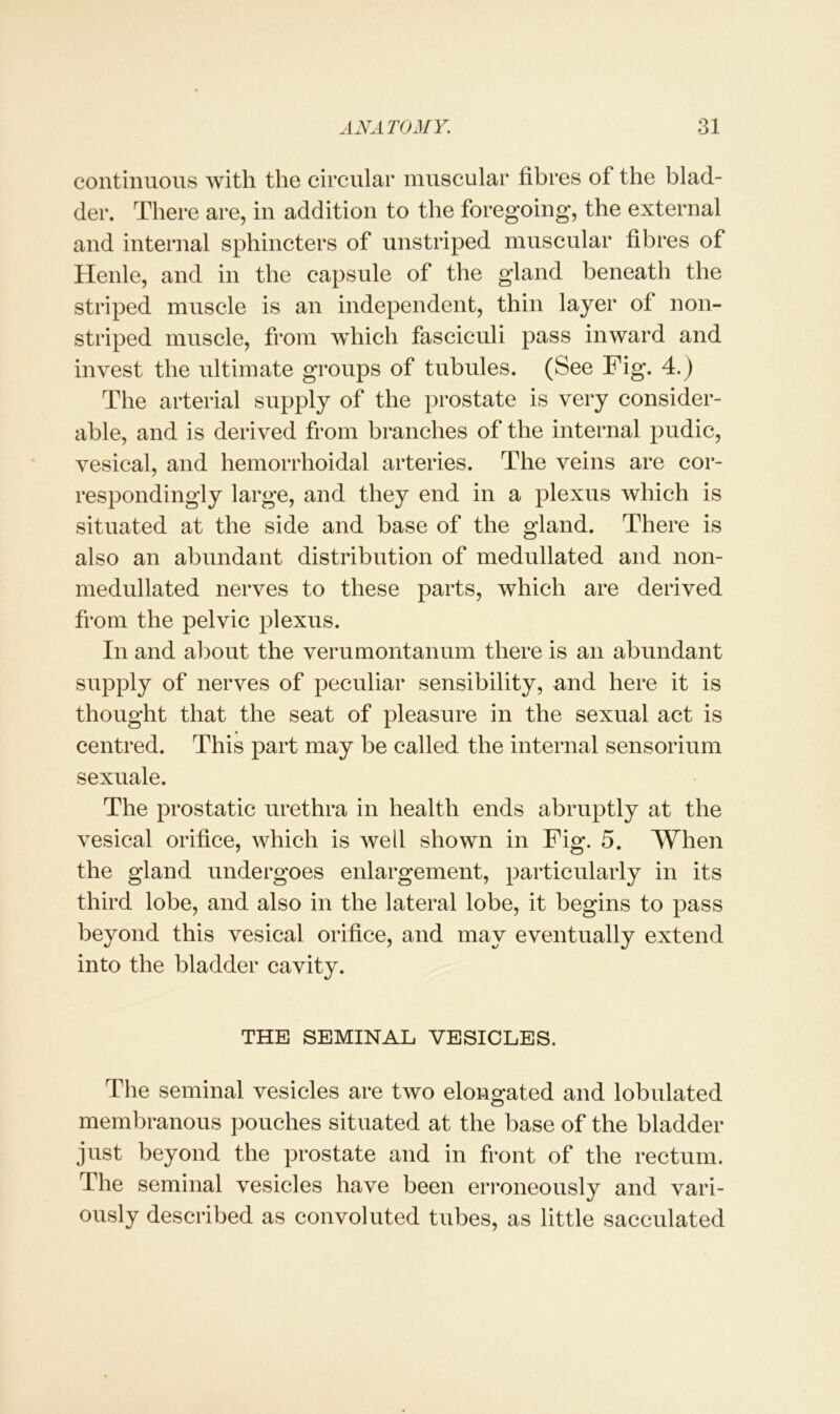 continuous with the circular muscular fibres of the blad- der. There are, in addition to the foregoing, the external and internal sphincters of unstriped muscular fibres of Henle, and in the capsule of the gland beneath the striped muscle is an independent, thin layer of non- striped muscle, from which fasciculi pass inward and invest the ultimate groups of tubules. (See Fig. 4.) The arterial supply of the prostate is very consider- able, and is derived from branches of the internal pudic, vesical, and hemorrhoidal arteries. The veins are cor- respondingly large, and they end in a plexus which is situated at the side and base of the gland. There is also an abundant distribution of medullated and non- medullated nerves to these parts, which are derived from the pelvic plexus. In and about the verumontanum there is an abundant supply of nerves of peculiar sensibility, and here it is thought that the seat of pleasure in the sexual act is centred. This part may be called the internal sensorium sexuale. The prostatic urethra in health ends abruptly at the vesical orifice, which is well shown in Fig. 5. When the gland undergoes enlargement, particularly in its third lobe, and also in the lateral lobe, it begins to pass beyond this vesical orifice, and may eventually extend into the bladder cavity. THE SEMINAL VESICLES. The seminal vesicles are two elongated and lobulated membranous pouches situated at the base of the bladder just beyond the prostate and in front of the rectum. The seminal vesicles have been erroneously and vari- ously described as convoluted tubes, as little sacculated