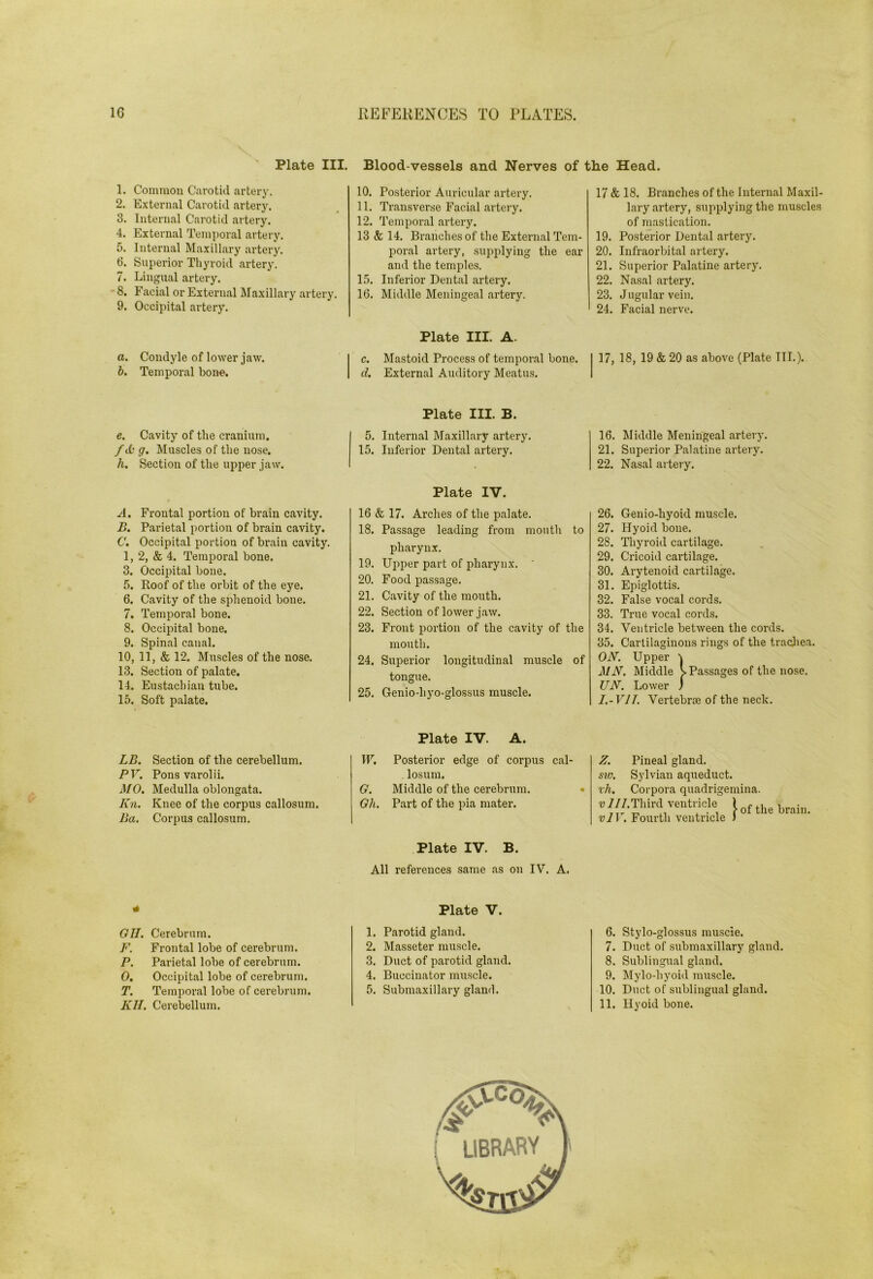 IG REFEKENCES TO PLATES. Plate III. 1. Comiuon Carotid artery. 2. External Carotid artery. 3. Internal Carotid artery. 4. External Temporal artery. 5. Internal Maxill.ary artery. 6. Superior Tliyroid artery. 7. Lingual artery. -8. Facial or External Maxillary artery. 9. Occipital artery. a. Condyle of lower jaw. h. Temporal bone. e. Cavity of the cranium. /tD g. Muscles of the nose. h. Section of the upper jaw. A. Frontal portion of brain cavity. B. Parietal portion of brain cavity. C. Occipital portion of brain cavity. 1, 2, & 4. Temporal bone. 3. Occipital bone. 5. Roof of the orbit of the eye. 6. Cavity of the sphenoid bone. 7. Temporal bone. 8. Occipital bone. 9. Spinal canal. 10, 11, & 12. Muscles of the nose. 13. Section of palate, 14. Eustachian tube. 15. Soft palate. Blood-vessels and Nerves of i 10. Posterior Auricular artery. 11. Transverse Facial artery. 12. Temporal artery. 13 & 14. Branches of the External Tem- poral artery, supplying the ear and the temples. 15. Inferior Dental artery. 16. Middle Meningeal artery. Plate III. A. c. Mastoid Process of temporal bone. d. External Auditory Meatus. Plate III. B. 5. Internal Maxillary artery. 15. Inferior Dental artery. Plate IV. 16 & 17. Arches of the palate. 18. Passage leading from mouth to pharynx. 19. Upper part of pharynx. 20. Food passage. 21. Cavity of the mouth. 22. Section of lower jaw. 23. Front portion of the cavity of the mouth. 24. Superior longitudinal muscle of tongue. 25. Genio-hyo-glossus muscle. le Head. 17 & 18. Branches of the Internal Maxil- lary artery, supplying the muscles of mastication. 19. Posterior Dental artery. 20. Infraorbital artery. 21. Superior Palatine artery. 22. Nasal artery. 23. J ugular vein. 24. Facial nerve. 17, 18, 19 «fe 20 as above (Plate III.). 16. Middle Meningeal artery. 21. Superior Palatine artery, 22. Nasal artery. 26. Genio-hyoid muscle. 27. Hyoid bone. 28. Thyroid cartilage. 29. Cricoid cartilage. 30. Arytenoid cartilage. 31. EjDiglottis. 32. False vocal cords. 33. True vocal cords. 34. Ventricle between the cords. 35. Cartilaginous rings of the tracjiea. ON. Upper v MN. Middle sPassages of the nose. UN. Lower j I.-VIT. Vertebrte of the neck. LB. Section of the cerebellum. PV, Pons varolii. MO, Medulla oblongata. Kn. Knee of the corpus callosum. Ba. Corpus callosum. GII. Cerebrum. F. Frontal lobe of cerebrum. P. Parietal lobe of cerebrum. 0. Occipital lobe of cerebrum. T. Temporal lobe of cerebrum. KII. Cerebellum. Plate IV. A. W. Posterior edge of corpus cal- losum. G. Middle of the cerebrum. Gh. Part of the pia mater. Plate IV. B. All references same as on IV. A. Z. Pineal gland. sw. Sylvian aqueduct, r/i. Corpora quadrigemina. V ///.Third ventricle 1 ^ , vlV. Fourth ventricle ) brain. Plate V. 1. Parotid gland. 2. Masseter muscle. 3. Duct of parotid gland. 4. Buccinator muscle. 5. Submaxillary gland. 6. Stylo-glossus muscle. 7. Duct of submaxillary gland. 8. Sublingual gland. 9. Mylo-hyoid muscle. 10. Duct of sublingual gland. 11. Hyoid bone.