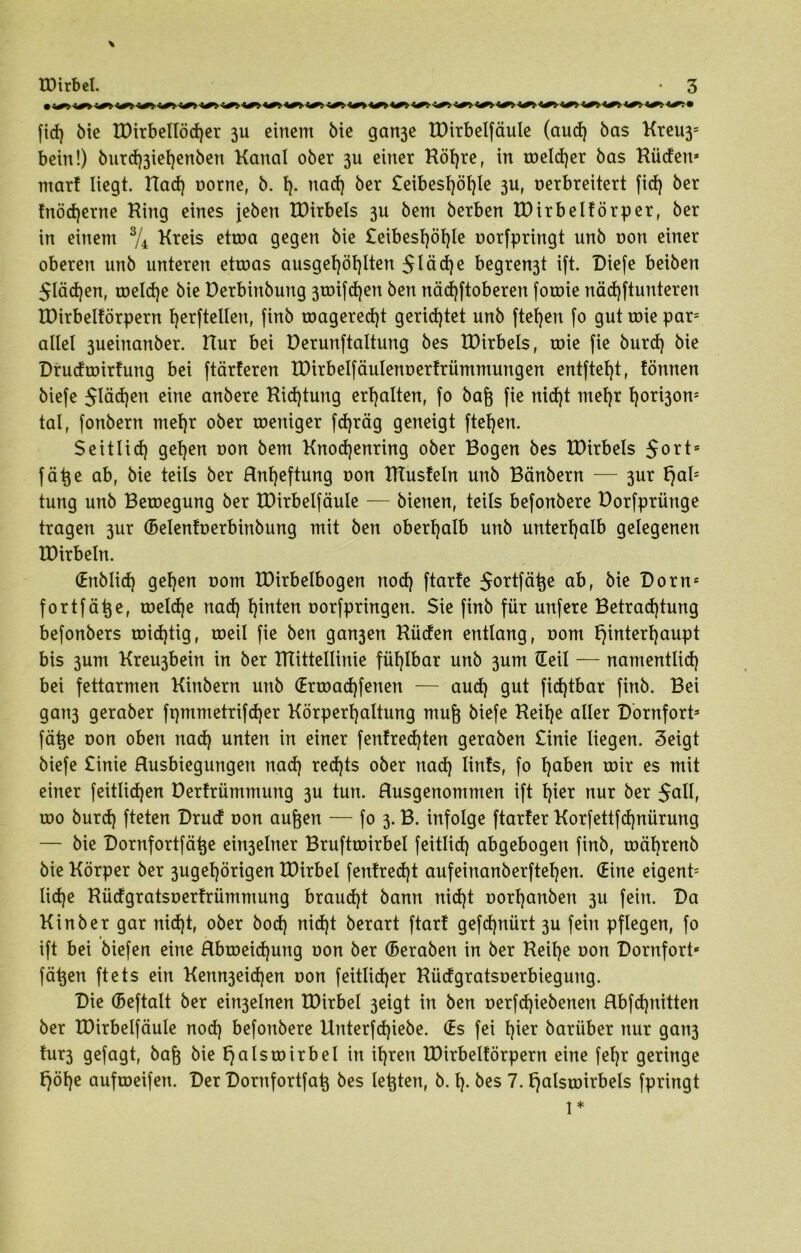 \ fid) bie tDirbelIöd)er 3U einem bie gan3e IDirbelfäuIe (aud) bas Kreu3= bein!) burd)3ief)enben Kanal ober 3U einer Röhre, in toeldjer bas Rüden* mar! liegt. Rad) oorne, b. 1). nad) ber £eibesf)öf)Ie 3U, oerbreitert fid) ber Inödjerne King eines jeben XPirbets 311 bem berben XDirbelförper, ber in einem s/4 Kreis etroa gegen bie £eibest)öf)Ie oorfpringt unb non einer oberen unb unteren etroas ausgel)öl)Iten 5läd)e begren3t ift. Diefe beiben 5läd)en, toeldje bie Derbinbung 3toifd)en ben näd)ftoberen foroie nädjftunteren töirbeltörpern herftellen, finb roagered)t gerichtet unb ftetjen fo gut toie par* alle! 3ueinanber. Kur bei üerunftaltung bes tDirbels, roie fie burd) bie Drudroirtung bei ftärferen EDirbelfäulenoertrümmungen entfielt f tonnen biefe 5läd)en eine anbere Richtung erhalten, fo bafj fie nicf)t mefjr l)ori3ons tat, fonbern mel)r ober toeniger fdjräg geneigt fteljen. Seitlid) gel)en oon bem Knodjenring ober Bogen bes IDirbels $ort = fätje ab, bie teils ber Rnljeftung oon IKusteln unb Bänbern — 3ur £)als tung unb Beroegung ber IDirbelfäuIe — bienen, teils befonbere Dorfprünge tragen 3ur (Belentoerbinbung mit ben oberhalb unb unterhalb gelegenen IDirbeln. (Ertblid) gehen r»om IDirbelbogen rtod) ftarfe 5ortfä^e ab, bie Dorn* fortfätje, roeldje nad) hinten oorfpringen. Sie finb für unfere Betrachtung befonbers roidjtig, roeil fie ben gan3en Küden entlang, oom Hinterhaupt bis 3um Kreu3bein in ber KTittellinie fühlbar unb 3um Heil — namentlich bei fettarmen Kinbern unb (Erroad)fenen — aud) gut fidjtbar finb. Bei gait3 geraber fpmmetrifdjer Körperhaltung mufj biefe Keihe aller Dornfort* fätje oon oben nad) unten in einer (entrechten geraben £inie liegen. Seigt biefe £inie Husbiegungen nad) red)ts ober nad) Iints, fo haben mir es mit einer feitlidjen Dertrümmung 3U tun. Husgenommen ift hier nur ber $all, too burd) fteten Drud oon aufjen — fo 3. B. infolge ftarter Korfettfd)nürung — bie Dornfortfä^e ein3elner Bruftroirbel feitlid) abgebogen finb, toährenb bie Körper ber 3ugel)örigen IDirbel (entrecht aufeinanberfteljen. (Eine eigent* lid)e Rüdgratsoertrümmung braucht bann nid)t oorhanbert 3U fein. Da K in ber gar nid)t, ober bod) nid)t berart ftart gefdjnürt 3U fein pflegen, fo ift bei biefen eine Hbroeidjung oon ber (Berabert in ber Keihe oon Dornfort* fätjen ftets ein Kenn3eid)en oon feitlidjer Küdgratsoerbiegung. Die (Seftalt ber ein3elnen IDirbel 3eigt in ben oerfd)iebenen Hbfd)nitten ber IDirbelfäuIe nod) befonbere Unterfd)iebe. (Es fei hier barüber nur gan3 tur3 gefagt, bafj bie Halswirbel in ihren töirbeltörpern eine fel)r geringe Höhe auftoeifen. Der Dornfortfatj bes lebten, b. h- bes 7. Halstoirbels fpringt 1 *
