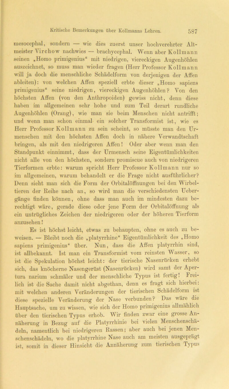 mesocephal, sondern — wie dies zuerst unser hochverelirter Alt- meister Virchow nachwies — brachycephal. Wenn aber Kollmann seinen „Homo primigenius“ mit niedrigen, viereckigen Augenhöhlen auszeichnet, so muss man wieder fragen (Herr Professor Kollmann will ja doch die menschhche Schädelform von derjenigen der Affen ableiten): von welchen Affen speziell erbte dieser „Homo sapiens primigenius“ seine niedrigen, viereckigen Augenhöhlen? Von den höchsten Affen (von den Anthropoiden) gewiss nicht, denn diese haben im allgemeinen sehr hohe und zum Teil derart rundliche Augenhöhlen (Orang), wie man sie beim Menschen nicht antrifft; und wenn man schon einmal ein solcher Transformist ist, wie es HeiT Professor Kollmann zu sein scheint, so müsste man den Ur- menschen mit den höchsten Affen doch in nähere Verwandtschaft l)ringen, als mit den niedrigeren Affen! Oder aber wenn man den Standpunkt einnimmt, dass der Urmensch seine Eigentümlichkeiten nicht alle von den höchsten, sondern promiscue auch von niedrigeren Tierformen erbte: warum spricht Herr Professor Kollmann nur so im allgemeinen, warum behandelt er die Frage nicht ausführlicher? Denn sieht man sich die Form der Orbitalöffnungen bei den Wirbel- tieren der Reihe nach an, so wird man die verschiedensten Ueber- gänge finden können, ohne dass man auch im mindesten dazu be- rechtigt wäre, gerade diese oder jene Form der Orbitalöffnung als ein untrügliches Zeichen der niedrigeren oder der höheren Tierform anzusehen! Es ist höchst leicht, etwas zu behaupten, ohne es auch zu be- weisen. — Bleibt noch die „platyrrhine“ Eigentümlichkeit des „Homo sapiens primigenius“ über. Nun, dass die Affen platyrrhin sind, ist allbekannt. Ist man ein Transformist vom reinsten Wasser, so ist die Spekulation höchst leicht: der tierische Nasenrücken erhebt sich, das knöcherne Nasengerüst (Nasenrücken) wird samt der Aper- tura narium schmäler und der menschliche Typus ist fertig! Frei- lich ist die Sache damit nicht abgethan, denn es fragt sich hierbei: mit welchen anderen Veränderungen der tierischen Schädelform ist diese spezielle Veränderung der Nase verbunden? Das wäre die Hauptsache, um zu wissen, wie sich der Homo primigenius allmählich über den tierischen Typus erhob. Wir finden zwar eine grosse An- näherung in Bezug auf die Platyrrhinie bei vielen Menschenschä- deln, namentlich bei niedrigeren Rassen; aber auch bei jenen Men- schenschädeln, wo die platyrrhine Nase auch am meisten ausgeprägt ist, somit in dieser Hinsicht die Annäherung zum tierischen T\pus
