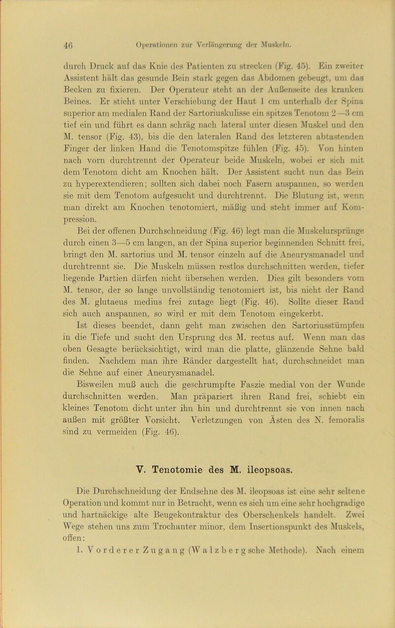 durch Druck auf das Knie des Patienten zu strecken (Fig. 45). Ein zweiter Assistent hält das gesunde Bein stark gegen das Abdomen gebeugt, um das Becken zu fixieren. Der Operateur steht an der Außenseite des kranken Beines. Er sticht unter Verschiebung der Haut I cm unterhalb der Spina Superior am medialen Hand der Sartoriuskulisse ein spitzes Tenotom 2 —3 cm tief ein und führt es dann schräg nach lateral unter diesen i\Iuskel und den M. tensor (Fig. 43), bis die den lateralen Rand des letzteren abtastenden Finger der hnlcen Hand die Tenotomspitze fühlen (Fig. 45). Von hinten nach vorn durchtrennt der Operateur beide Muskeln, wobei er sich mit dem Tenotom dicht am Knochen hält. Der Assistent sucht nun das Bein zu hyperextendieren; sollten sich dabei noch Fasern anspannen, so werden sie mit dem Tenotom aufgesucht und durchtrennt. Die Blutung ist, wenn man direkt am Knochen tenotomiert, mäßig und steht immer auf Kom- pression. Bei der offenen Durchschneidung (Fig. 46) legt man die ]\Iuskelur.sprünge durch einen 3—5 cm langen, an der Spina superior beginnenden Schnitt frei, bringt den M. sartorius und M. tensor einzeln auf die Aneurysmanadel und durchtrennt sie. Die Muskeln müssen restlos durchschnitten werden, tiefer liegende Partien dürfen nicht übersehen werden. Dies gilt besonders vom M. tensor, der so lange unvollständig tenotomiert ist, bis nicht der Rand des M. glutaeus medius frei zutage hegt (Fig. 46). Sollte dieser Rand sich auch anspaimen, so wird er mit dem Tenotom eingekerbt. Ist dieses beendet, dann geht man zwischen den Sartoriusstümpfeu in die Tiefe und sucht den Ursprung des M. rectus auf. Weim man das oben Gesagte berücksichtigt, wird man die platte, glänzende Sehne bald finden. Nachdem man ihre Ränder dargestellt hat, durchschneidet man die Sehne auf einer Aneurysmanadel. Bisweilen muß auch die geschrumpfte Faszie medial von der Wimde durchschnitten werden. Man präpariert ihren Rand frei, schiebt ein kleines Tenotom dicht unter ihn hin und durchtreimt sie von innen nach außen mit größter Vorsicht. Verletzungen von Ästen des N. femoralis sind zu vermeiden (Fig. 46). V. Tenotomie des M. ileopsoas. Die Durchschneidung der Endsehne des M. ileopsoas ist eine sehr seltene Operation und kommt nur in Betracht, wenn es sich um eine sehr hochgradige und hartnäckige alte Beugekontraktur des Oberschenkels handelt. Zwei Wege stehen uns zum Trochanter minor, dem Insertionspunkt des i\Iuskels, offen: