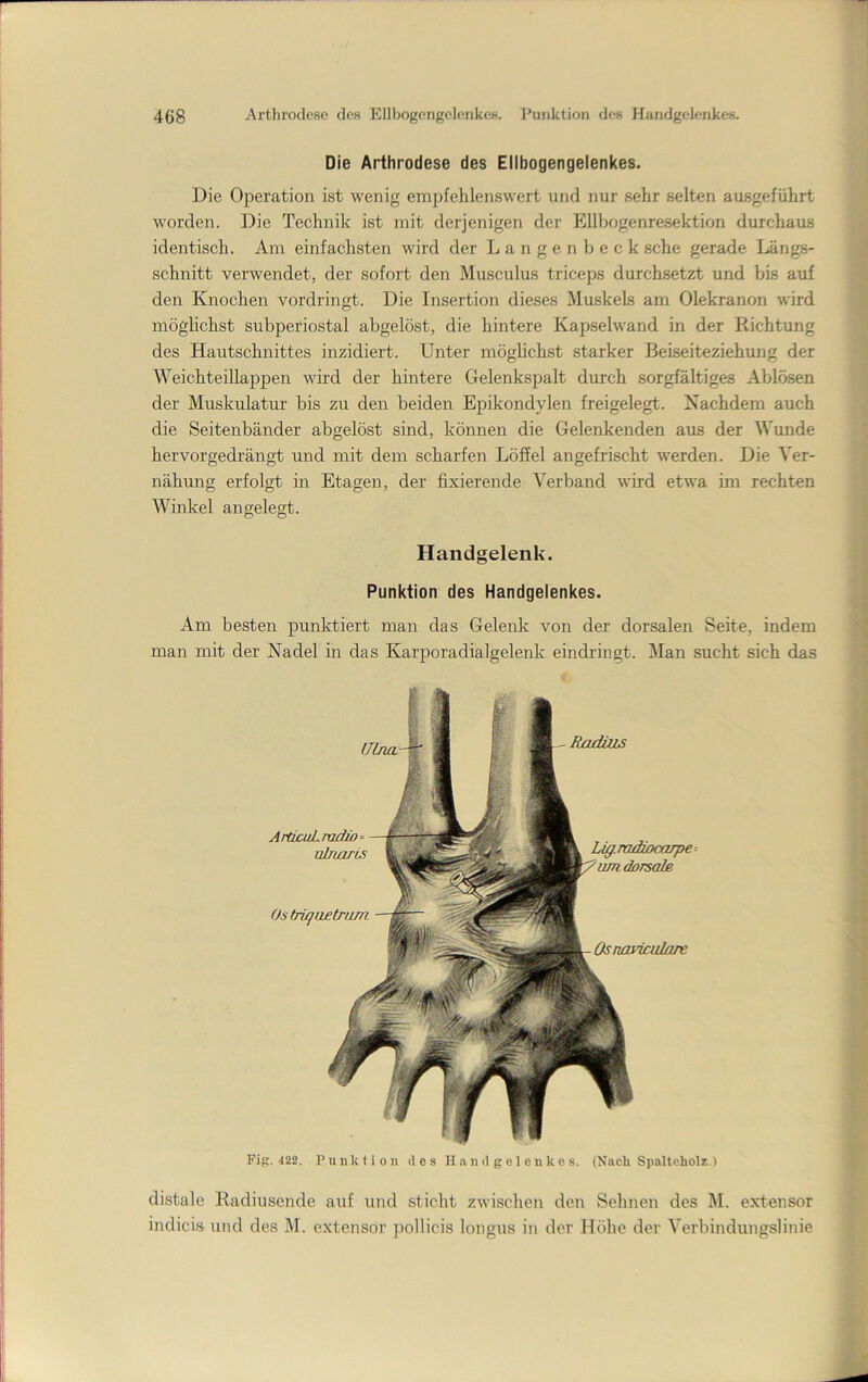 Die Arthrodese des Ellbogengelenkes. Die Operation ist wenig empfehlenswert und nur sehr selten ausgeführt worden. Die Technik ist mit derjenigen der Ellbogenresektion durchaus identisch. Am einfachsten wird der Langenbeck sehe gerade Längs- schnitt verwendet, der sofort den Musculus triceps durchsetzt und bis auf den Knochen vordringt. Die Insertion dieses Muskels am Olekranon wird möglichst subperiostal abgelöst, die hintere Kapselwand in der Richtung des Hautschnittes inzidiert. Unter möglichst starker Beiseiteziehung der Weichteillappen wird der hintere Gelenkspalt durch sorgfältiges Ablösen der Muskulatur bis zu den beiden Epikondylen freigelegt. Nachdem auch die Seitenbänder abgelöst sind, können die Gelenkenden aus der Wunde hervorgedrängt und mit dem scharfen Löffel angefrischt werden. Die Yer- nähung erfolgt in Etagen, der fixierende Verband wird etwa im rechten Winkel angelegt. O O Handgelenk. Punktion des Handgelenkes. Am besten punktiert man das Gelenk von der dorsalen Seite, indem man mit der Nadel in das Karporadialgelenk eindringt. Man sucht sich das ULna ArtLcuLmdio^ ülimris Os tr'ujaetrum Radius Lig.iridiooaape-- umdoTsale Osnayieulare Fig. ■122. Punktion des Handgelenkes. (Nach Spalteholz.) distale Radiusende auf und sticht zwischen den Sehnen des M. extensor indicis und des M. extensor pollicis longus in der Höhe der Verbindungslinie