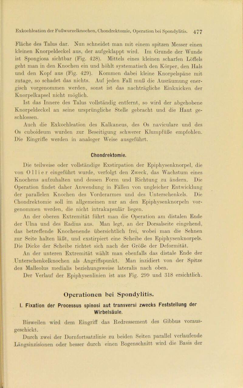 Fläche des Talus dar. Nun schneidet man mit einem spitzen Messer einen kleinen Knorpeldeckel aus, der aufgeklappt wird. Im Grunde der Wunde ist Spongiosa sichtbar (Fig. 428). Mittels eines kleinen scharfen Löffels geht man in den Knochen ein und höhlt systematisch den Körper, den Hals und den Kopf aus (Fig. 429). Kommen dabei kleine Knorpelspäne mit zutage, so schadet das nichts. Auf jeden Fall muß die Ausräumung ener- gisch vorgenommen werden, sonst ist das nachträgliche Einknicken der Knorpelkapsel nicht möglich. Ist das Innere des Talus vollständig entfernt, so wird der abgehobene Knorpeldeckel an seine ursprüngliche Stelle gebracht und die Haut ge- schlossen. Auch die Exkochleation des Kalkaneus, des Os naviculare und des Os cuboideum wurden zur Beseitigung schwerer Klumpfüße empfohlen. Die Eingriffe werden in analoger Weise ausgeführt. Chondrektomie. Die teilweise oder vollständige Exstirpation der Epiphysenknorpel, die von 0 11 i e r eingeführt wurde, verfolgt den Zweck, das Wachstum eines Knochens aufzuhalten und dessen Form und Richtung zu ändern. Die Operation findet daher Anwendung in Fällen von ungleicher Entwicklung der parallelen Knochen des Vorderarmes und des Unterschenkels. Die Chondrektomie soll im allgemeinen nur an den Epiphysenknorpeln vor- genommen werden, die nicht intrakapsulär liegen. An der oberen Extremität führt man die Operation am distalen Ende der Ulna und des Radius aus. Man legt, an der Dorsalseite eingehend, das betreffende Knochenende übersichtlich frei, wobei man die Sehnen zur Seite halten läßt, und exstirpiert eine Scheibe des Epiphysenknorpels. Die Dicke der Scheibe richtet sich nach der Größe der Deformität. An der unteren Extremität wählt man ebenfalls das distale Ende der Unterschenkelknochen als Angriffspunkt. Man inzidiert von der Spitze des Malleolus medialis beziehungsweise lateralis nach oben. Der Verlauf der Epiphysenlinien ist aus Fig. 299 und 318 ersichtlich. Operationen bei Spondylitis. I. Fixation der Processus spinosi aut transversi zwecks Feststellung der Wirbelsäule. Bisweilen wird dem Eingriff das Redressement des Gibbus voraus- geschickt. Durch zwei der Dornfortsatzlinie zu beiden Seiten parallel verlaufende Längsinzisionen oder besser durch einen Bogenschnitt wird die Basis der