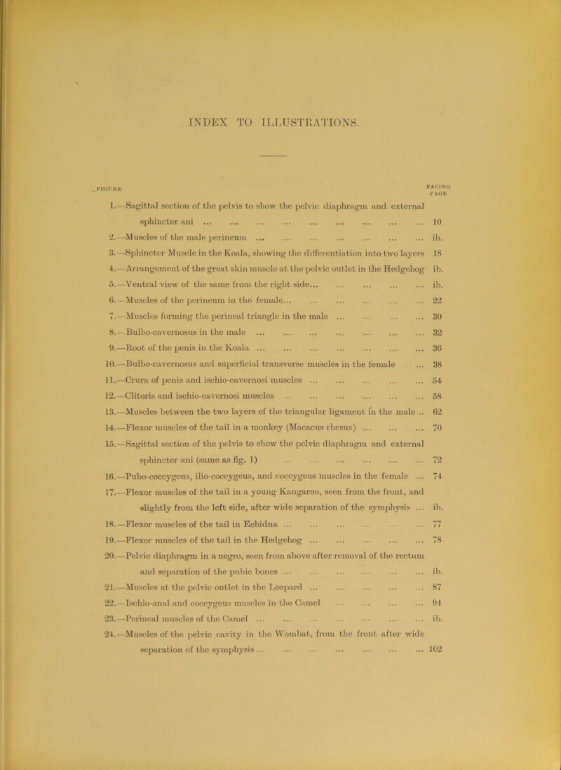 INDEX TO ILLUSTRATIONS. ^FIUUHE 1. —Sagittal section of the pelvis to show tlie jjelvie diaphragm and external sphincter ani ... 2. —Muscles of the male perineum ... 3. —Sphincter Muscle in the Koala, showing the differentiation into two layers 4. —Arrangement of the great skin muscle at the pelvic outlet in the Hedgehog 5. —Ventral Anew of the same from the right side... ... ... 0.—Muscles of the perineum in the female... 7. —Muscles forming the perineal triangle in the male ... 8. —Bulbo-cavernosus in the male y.—Root of the penis in the Koala ... ... ... ... 10. —Bulbo-cavernosus and supei-ficial transverse muscles in the female 11. —Crura of penis and i.scliio-cavernosi muscles ... 12. —Clitoris and ischio-cavernosi muscles 13. —Muscles between the two layers of the triangular ligament in the male .. 14. —Flexor muscles of the tail in a monkey (Macacus rhesus) 1.5.—Sagittal section of the pehds to show the pelvic diaphragm and external spliincter ani (same as fig. 1) 10.—Pubo-coccygeus, ilio-coccygeus, and coccygeus muscles in the female ... 17. —Flexor muscles of the tail in a young Kangaroo, seen from the front, and slightly from the left side, after wide separation of the symphysis ... 18. —Flexor muscles of the tail in Echidna ... 19. —Flexor muscles of the tail in the Hedgehog ... ... 20. —Pehic diaj)hragm in a negro, seen from above after removal of the rectum and separation of the pubic Viones ... ... ... ... 21. —Muscles at the jjclvic outlet in the Leopard 22. —I.schio-anal and coccygeus muscles in tlie Camel 23. —Perineal muscles of the Camel ... 24. —Muscles of the jielvic cavity in the Wombat, from the front after wide .separation of the symphysis... ••• ... ... KACINO J’AOE 10 ib. 18 ib. ib. 22 30 32 30 38 54 58 02 70 72 74 ib. 77 78 ib. 87 04 ib. 102