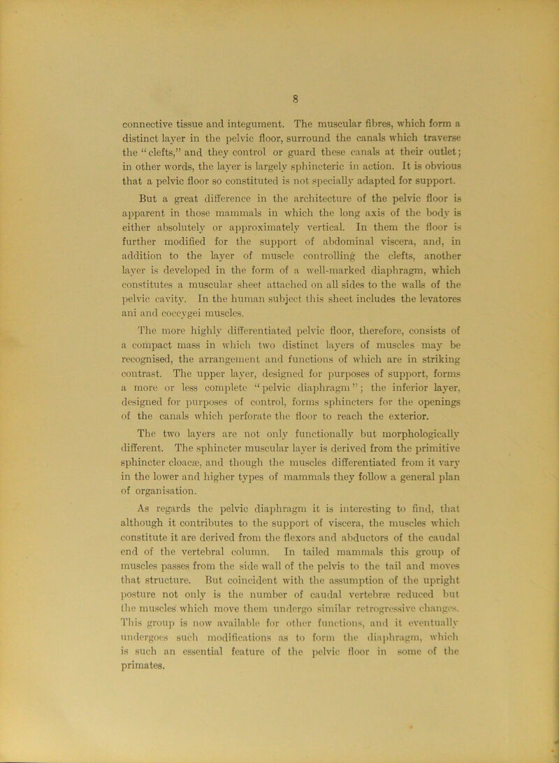 connective tissue and integument. The muscular fibres, which form a distinct layer in the pelvic floor, surround the canals which traverse the “clefts,” and they control or guard these canals at their outlet; in other words, the layer is largely sphincteric in action. It is obvious that a pelvic floor so constituted is not specially adapted for support. But a great difference in the architecture of the pelvic floor is apparent in those mammals in which the long axis of the body is either absolutely or approximatelv vertical. In them the floor is further modified for the su]Dport of abdominal viscera, and, in addition to the layer of muscle controlling the clefts, another layer is developed in the form of a Avell-marked diaphragm, Avhich constitutes a musculu- sheet attached on all sides to the walls of the ])elvic cavity. In the human subject tills sheet includes the levatores ani and coccygei muscles. Tlie more highly differentiated pelvic floor, therefore, consists of a comjiact mass in which two distinct layers of muscles may be recognised, the arrangement and functions of which are in striking contrast. The upper layer, designed for purposes of support, forms a more or less complete “ pelvic diaphragm ”; the inferior laj’^er, designed for purposes of control, forms sphincters for the openings of the canals ivhich perforate the floor to reach the exterior. Tlie tivo layers are not only functionally but morphologically different. The sphincter muscular layer is derived from the primitive sphincter cloaca?, and though the muscles differentiated from it varj' in the lower and higher types of mammals they follow a general plan of organisation. As regards the pelvic diaphragm it is interesting k) find, that although it contributes to the support of viscera, the muscles Avhich constitute it are derived from the flexors and abductors of the caudal end of the vertebral column. In tailed mammals this group of muscles passes from the side wall of the pelvis to the tail and moves that structure. But coincident Avith the assumption of the upright ])Osture not only is the number of caudal vertelira? reduced but tlio muscles Avhich move them undergo similar retrogressive changes. This group is uoaa' aA'-ailalile for otlier functions, and it cA'entually undergoes sucli modifications as to form (lie diaphragm, aaIucIi is such an essential feature of the pelvic floor in some of the primates.